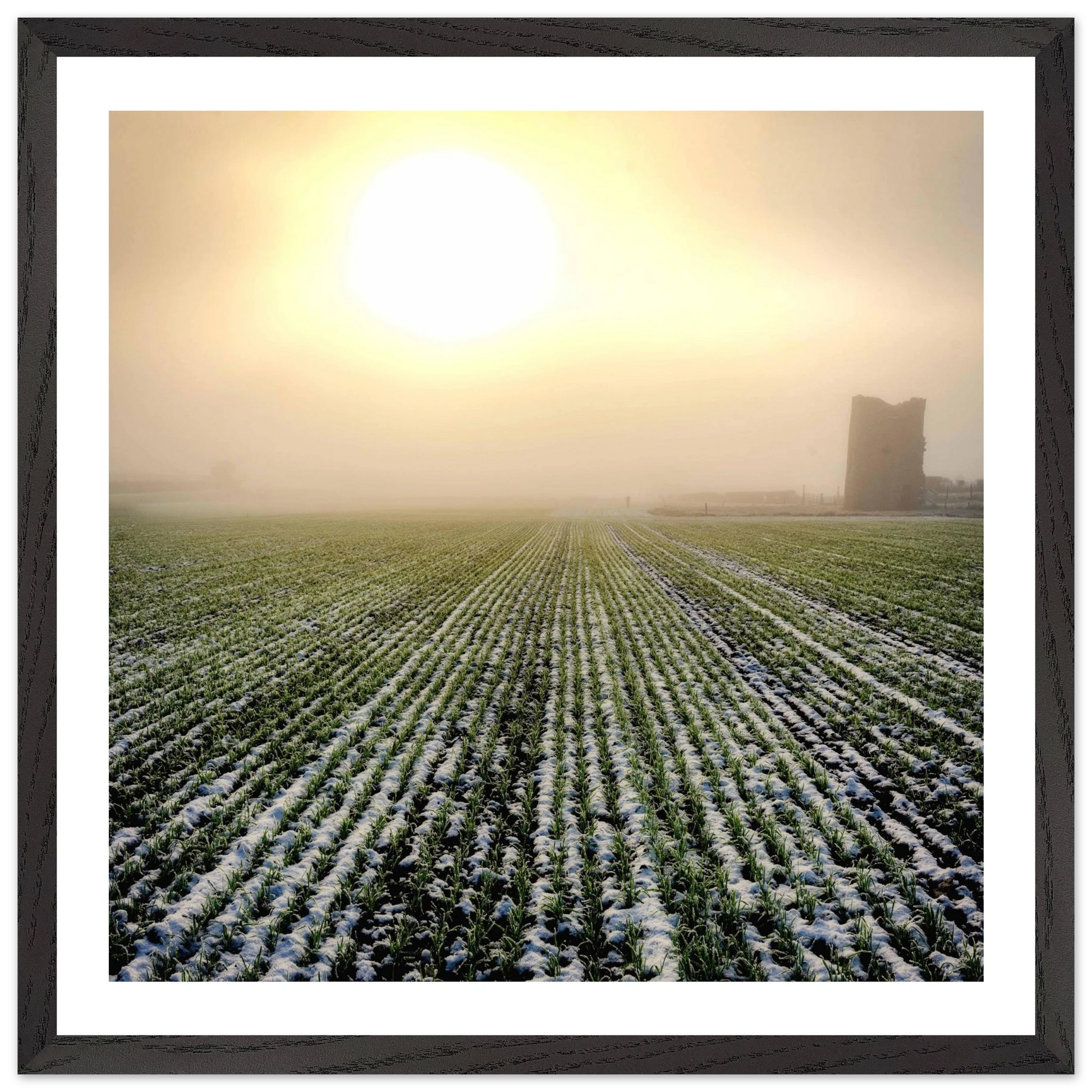 c0a54831-3275-4362-9151-357713e74806