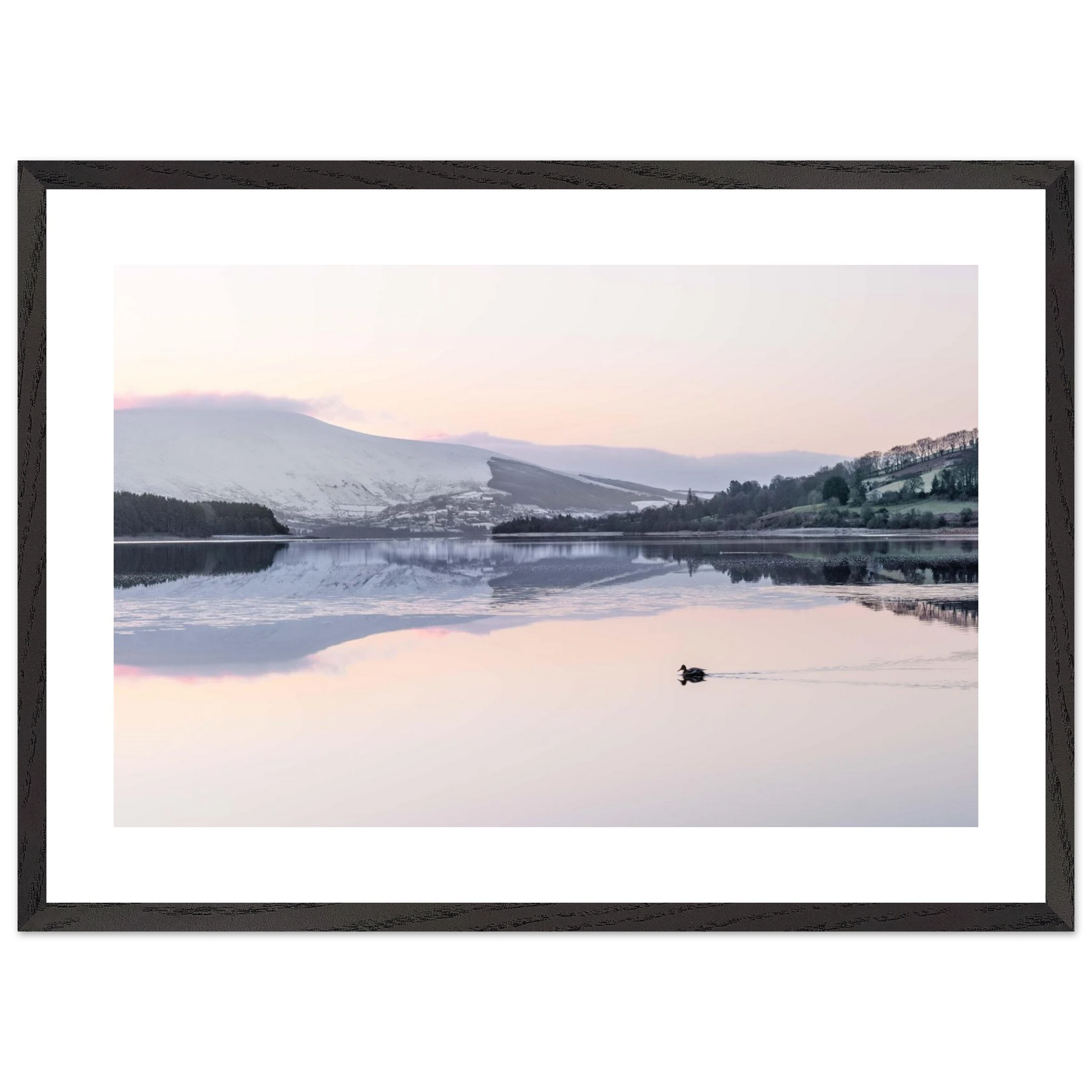 c0a997a4-cd0c-432e-8779-3e475b9de8a3