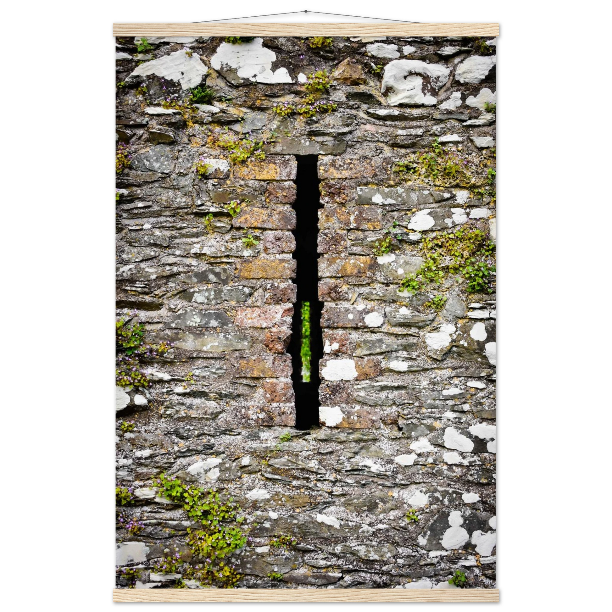 c0e0db31-a875-42a4-a133-2a4f8ea7a4cf