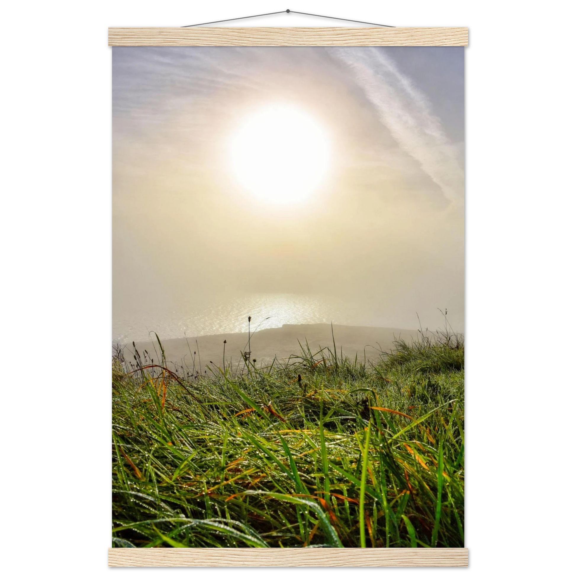 c0ed8d8f-8a30-4e06-ac7a-9af4a550c931