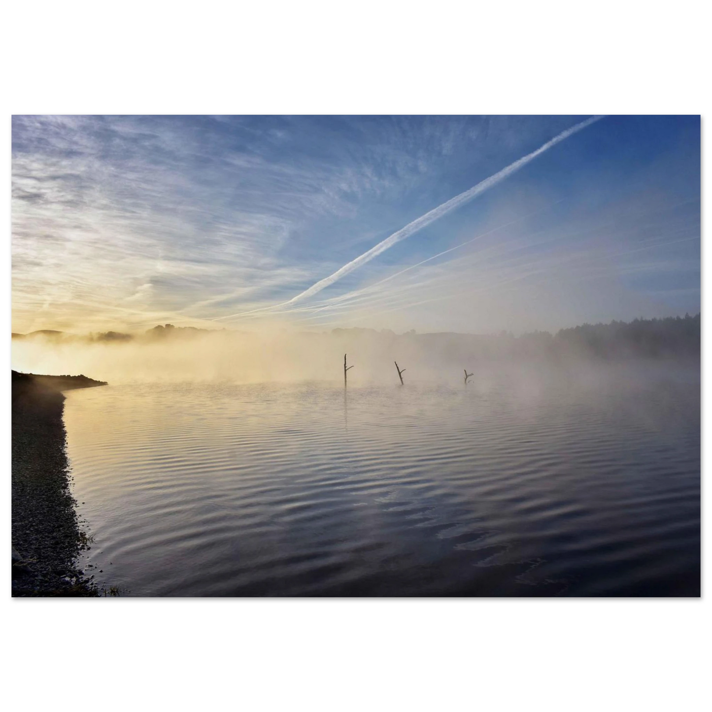 c1338a6a-d2a7-4b8f-a8e7-ea626fc3c220