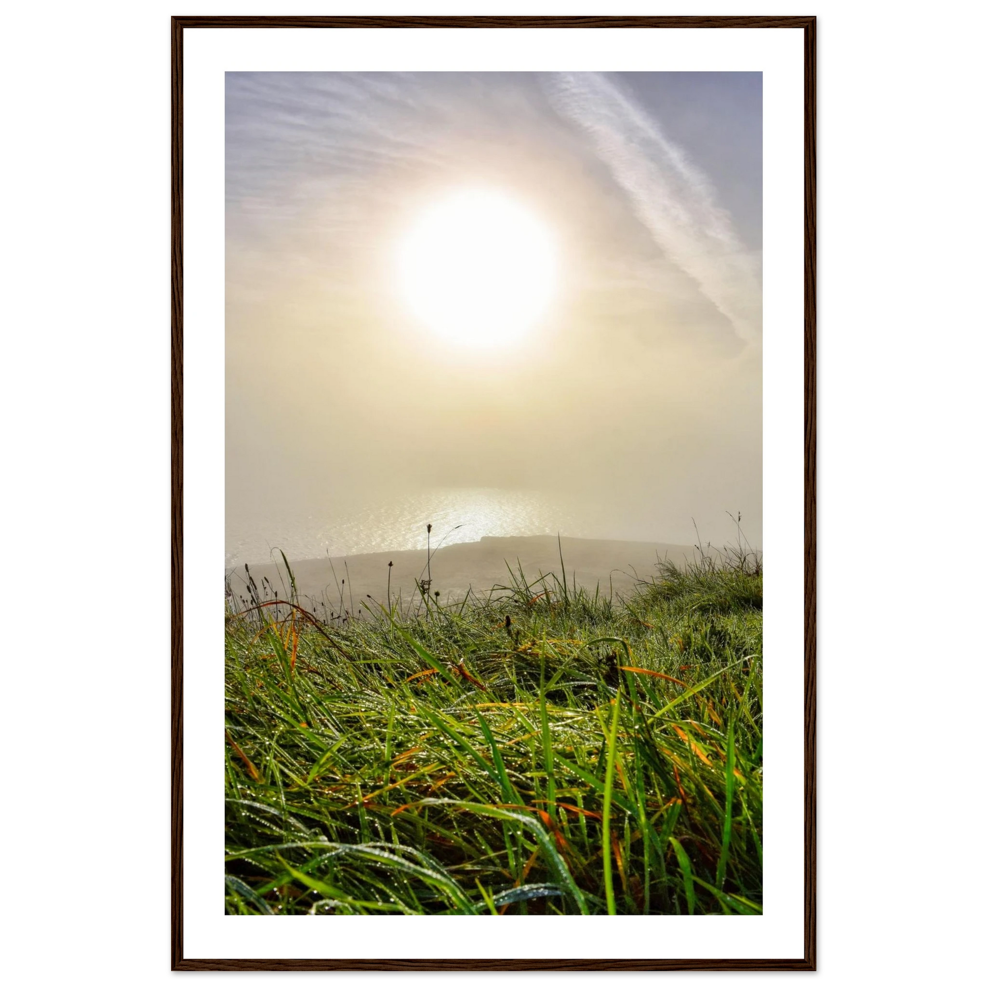 c169b07d-8f26-4d9c-83ff-25e4c2f97a54