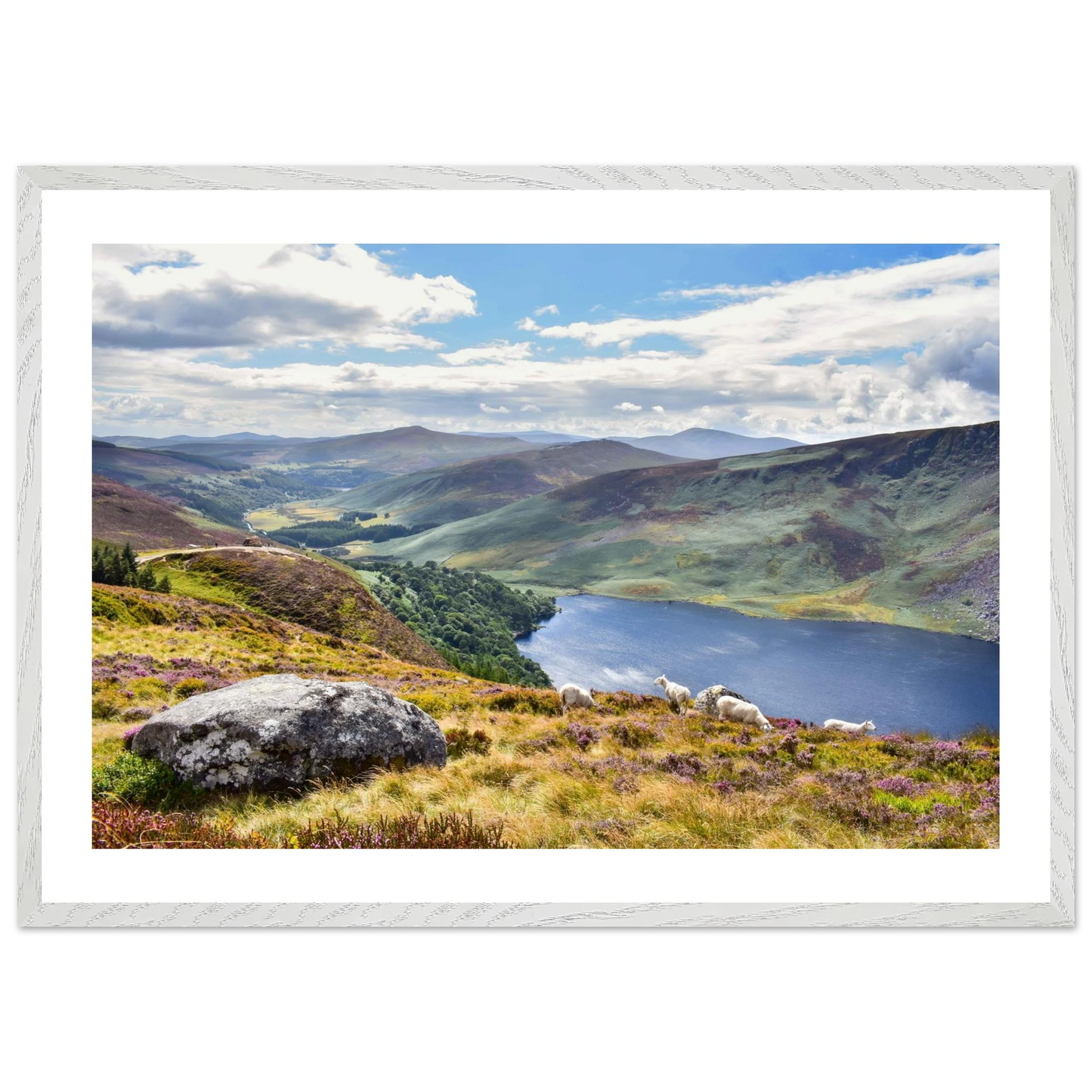 c181291b-b891-4487-8ac1-dbb49f8b6f37