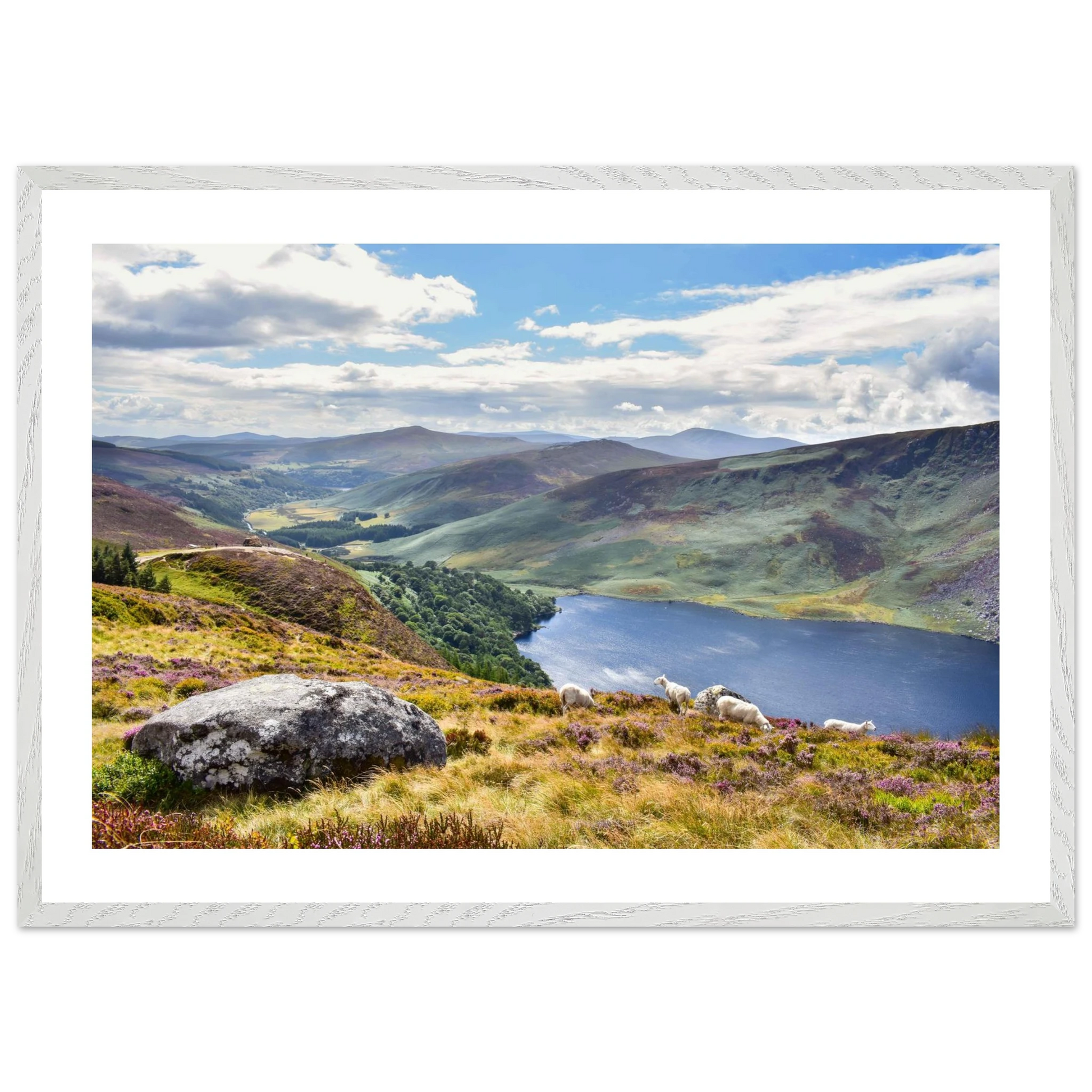 c181291b-b891-4487-8ac1-dbb49f8b6f37