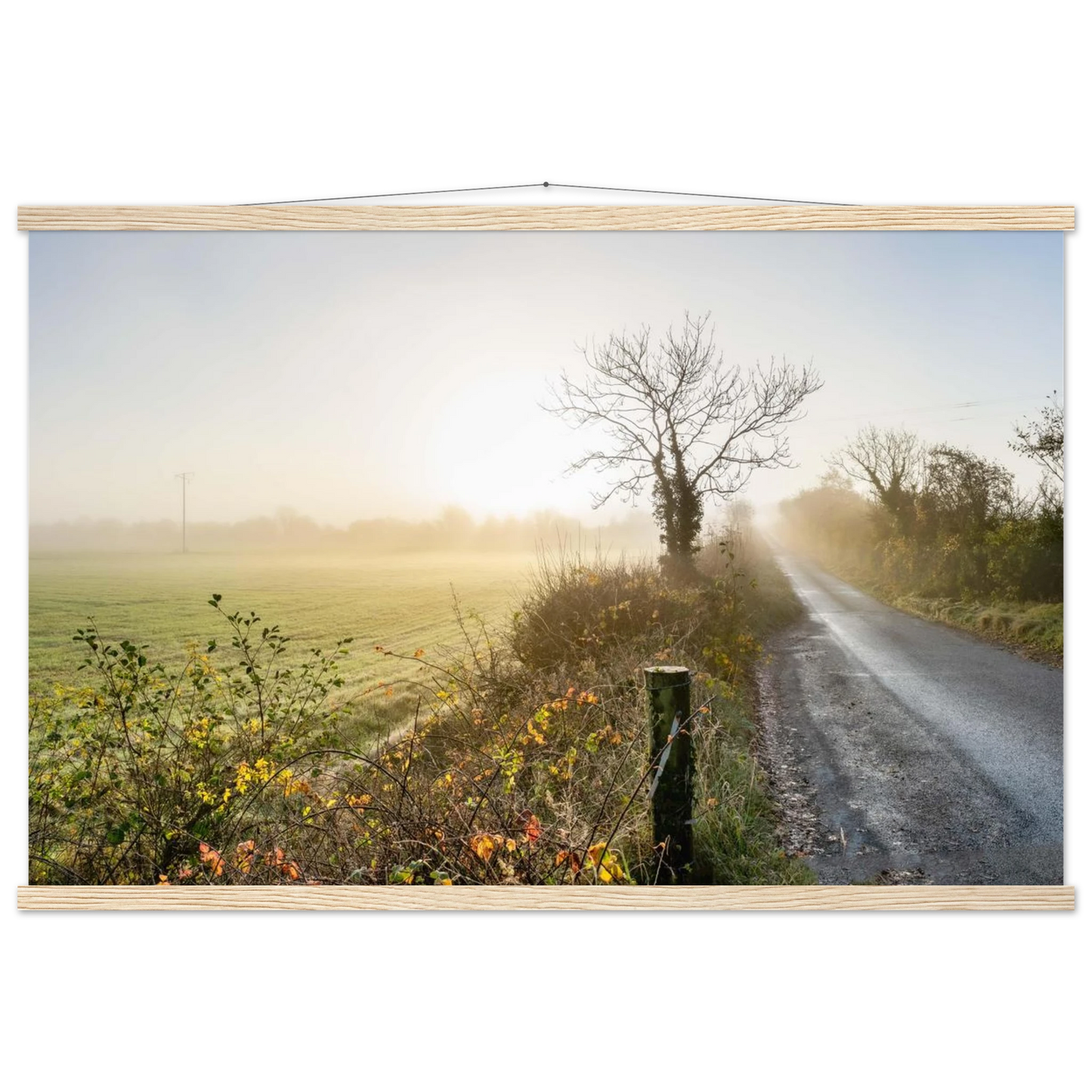 c1a6585b-5c7f-4977-9add-3c8742c9866c