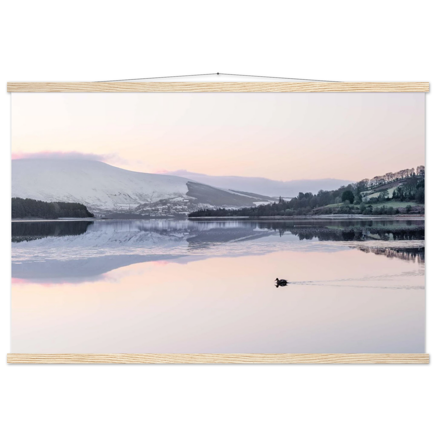 c1a6b695-f90e-4725-8bc0-ffc2f0a37d39