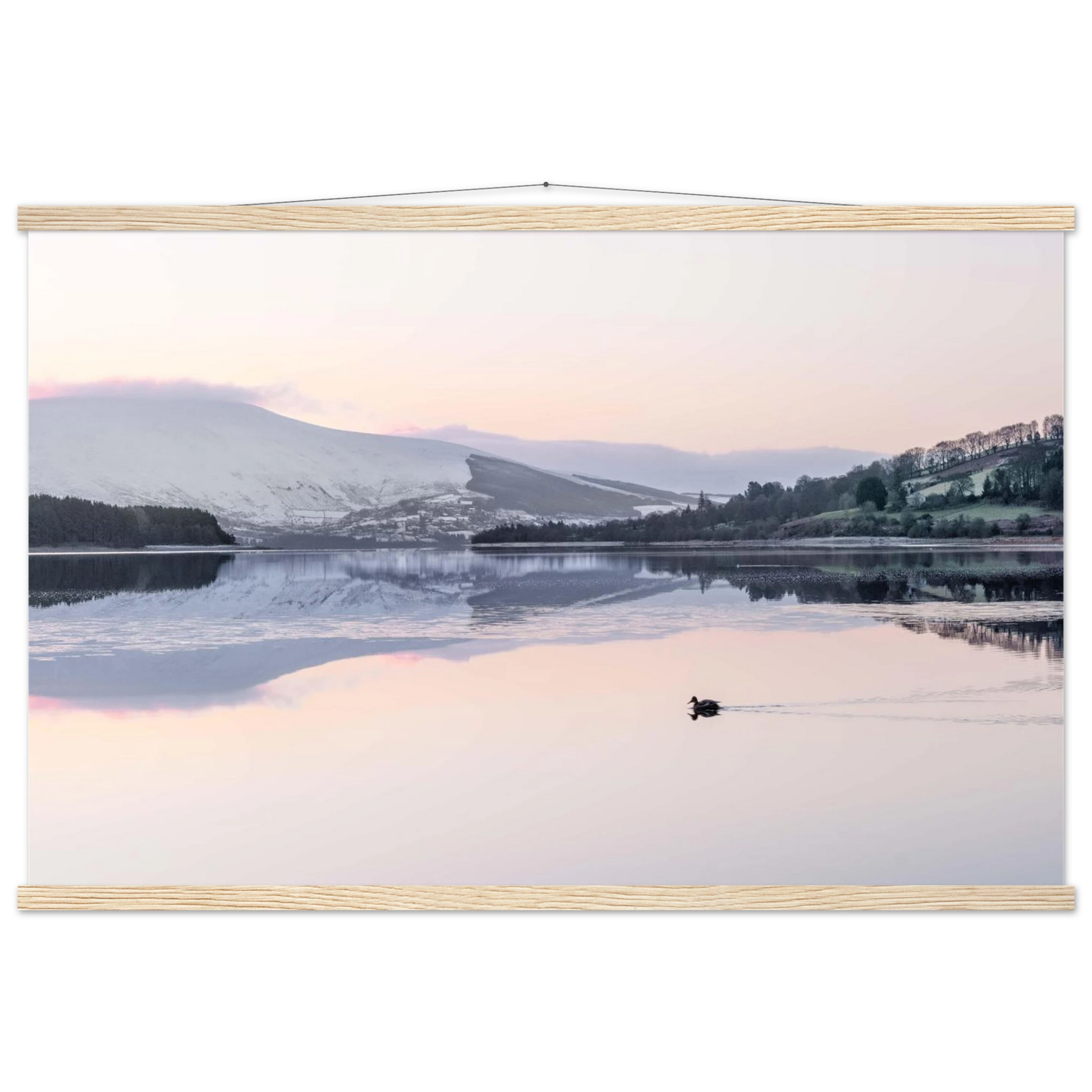 c1a6b695-f90e-4725-8bc0-ffc2f0a37d39