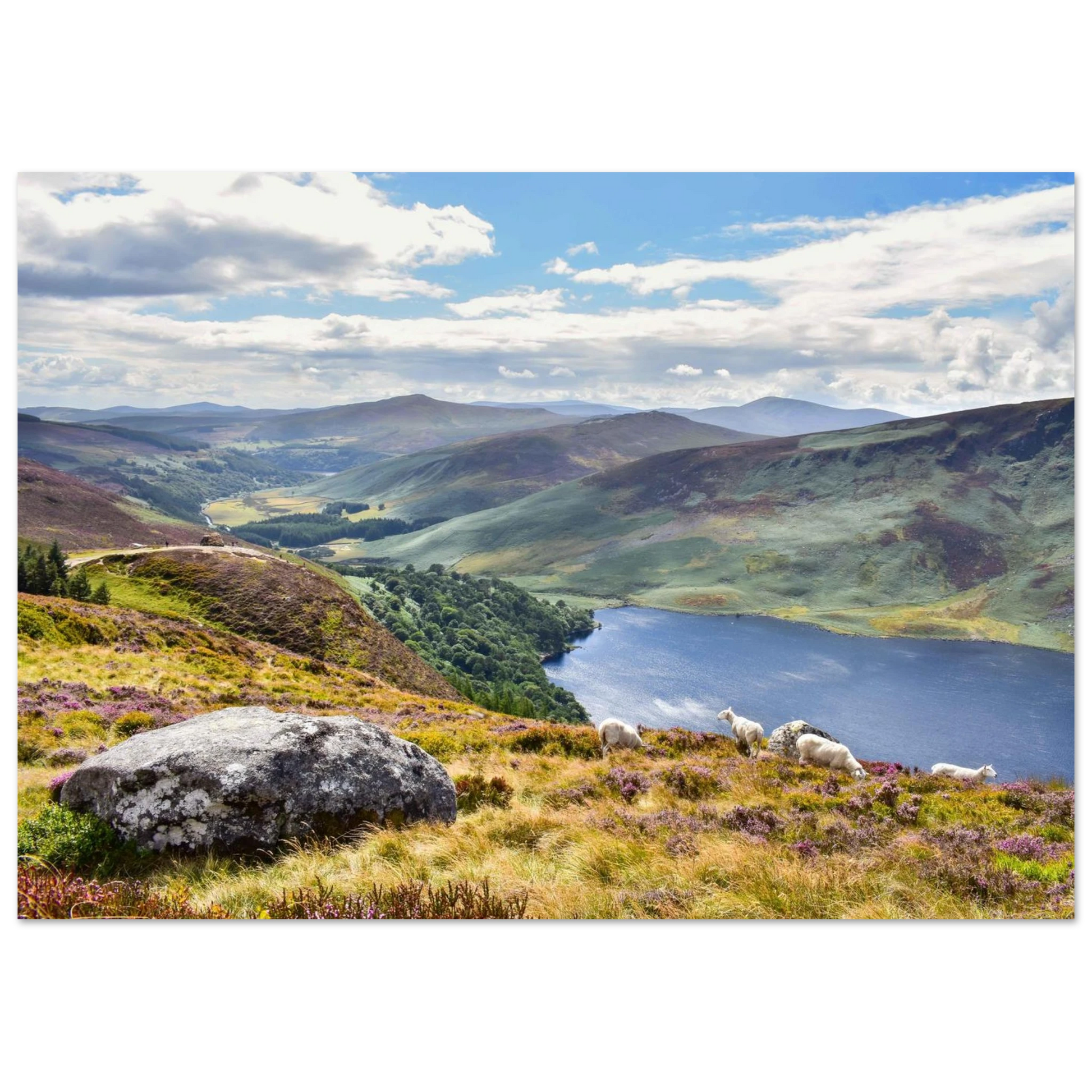 c1c26e21-f9b0-46fc-9285-06bc30694ee1