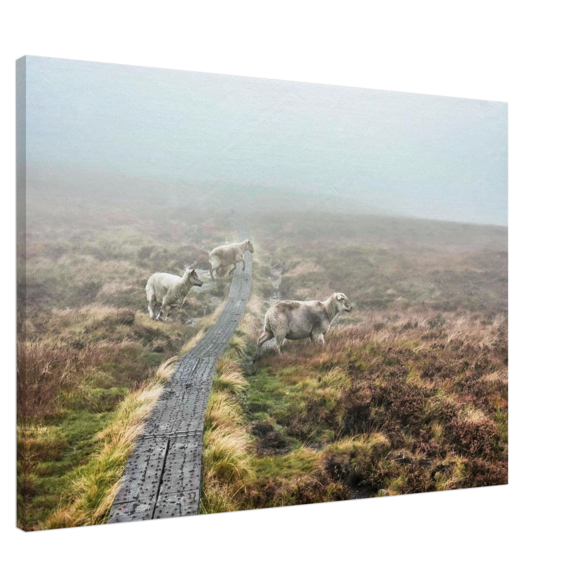 c200f54f-3f78-4989-b617-87d30cd2e579