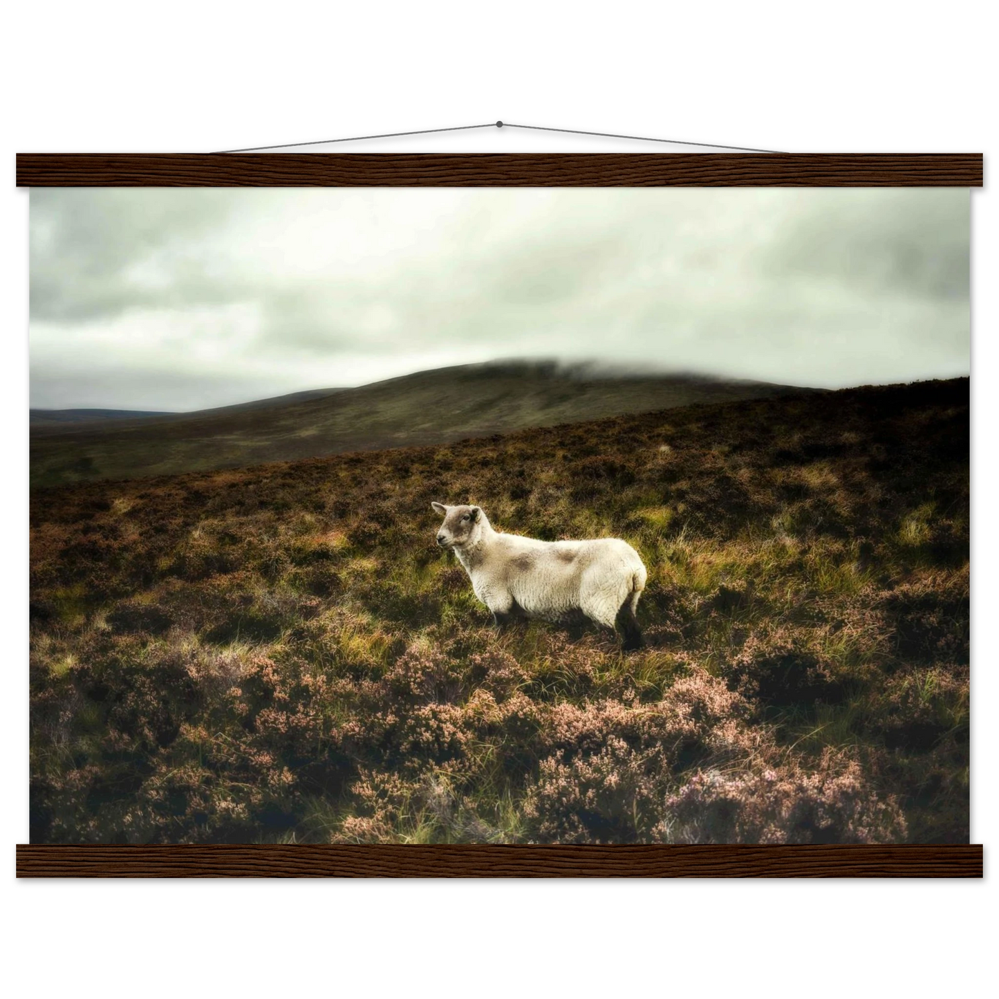 c213e70e-a07b-474d-8172-d59eea55a81a