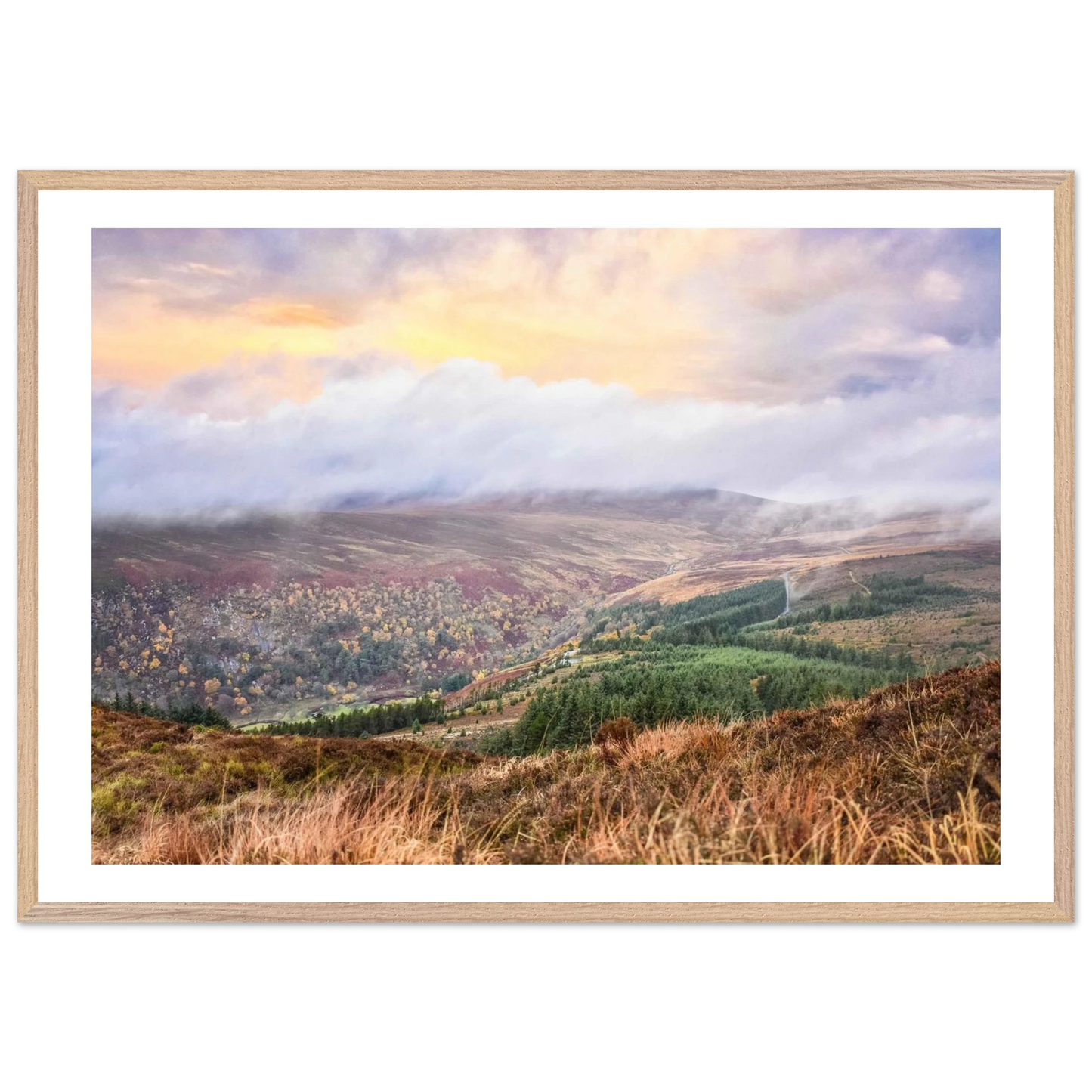 c215da94-1332-4a99-ac2a-9614f9453e05