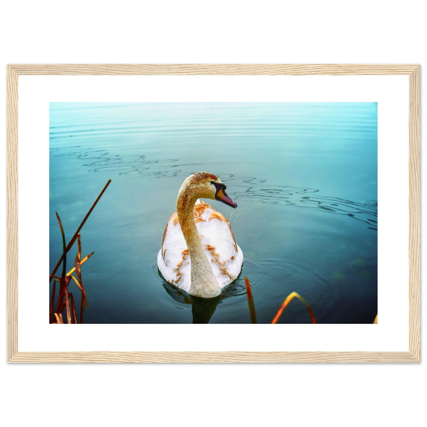 c22af8da-f7fd-4cad-8605-78ff82b866ce