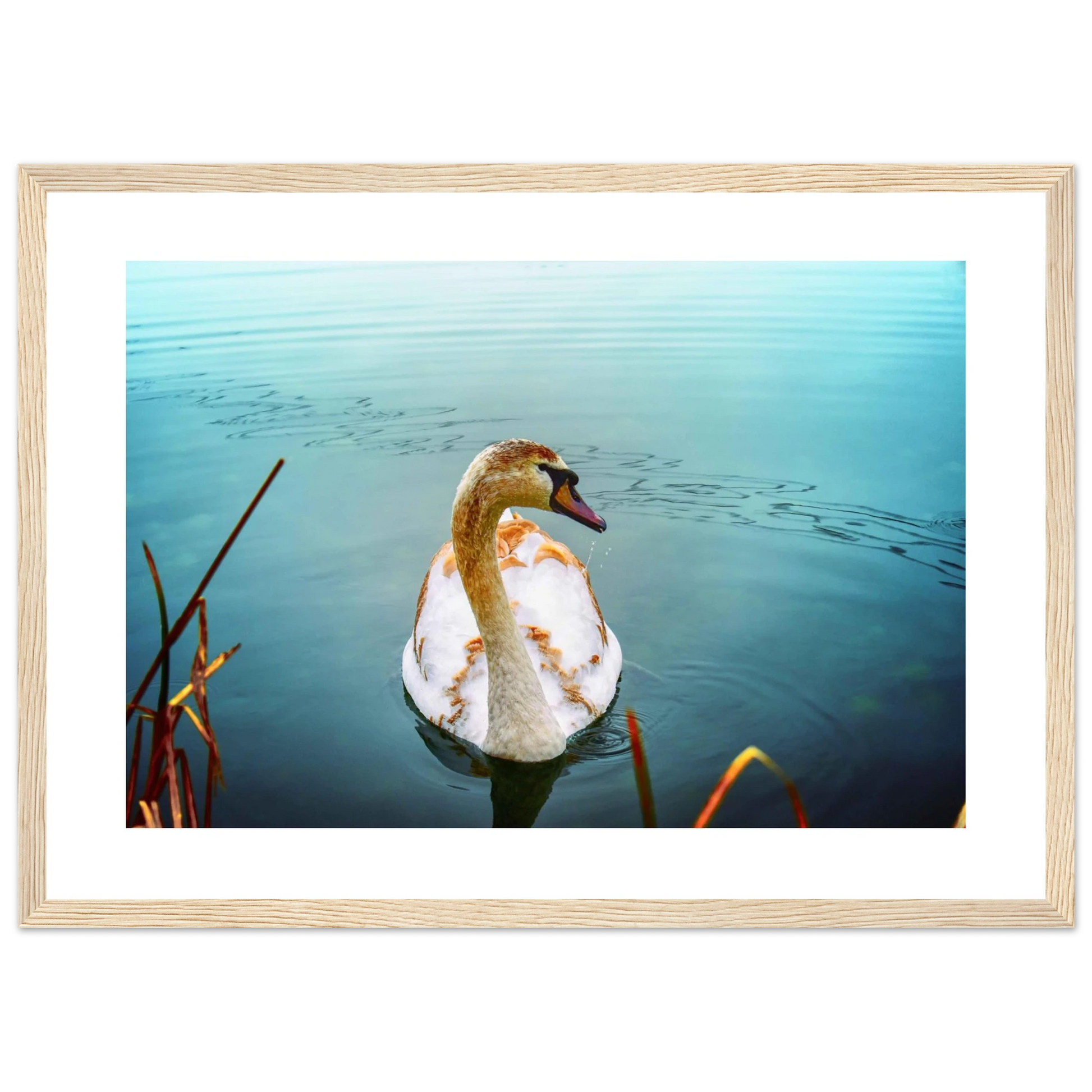 c22af8da-f7fd-4cad-8605-78ff82b866ce