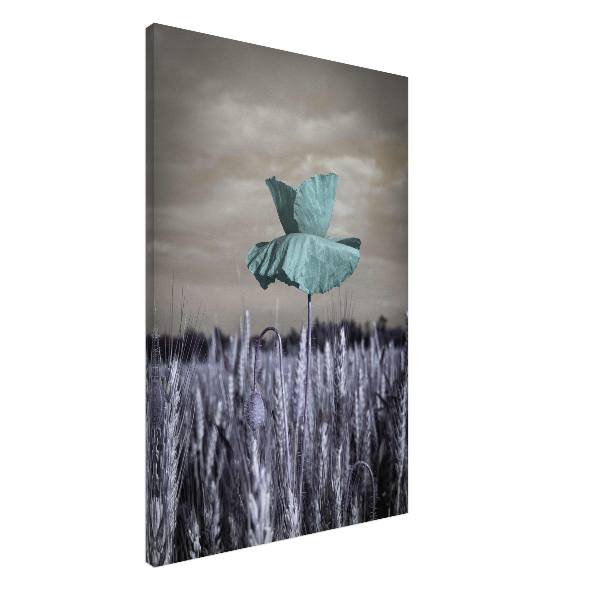 c2495d9c-a6c2-40ed-9a2d-1bd60157aff3