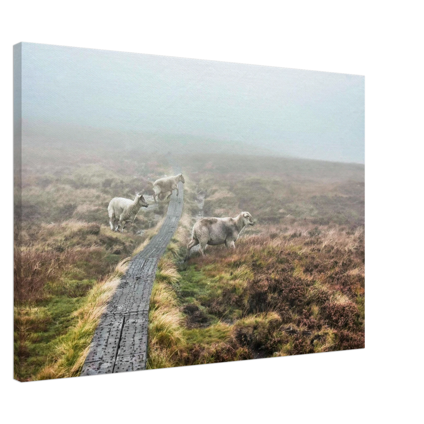 c29fc2e7-0e88-4e3c-a674-355727be84eb