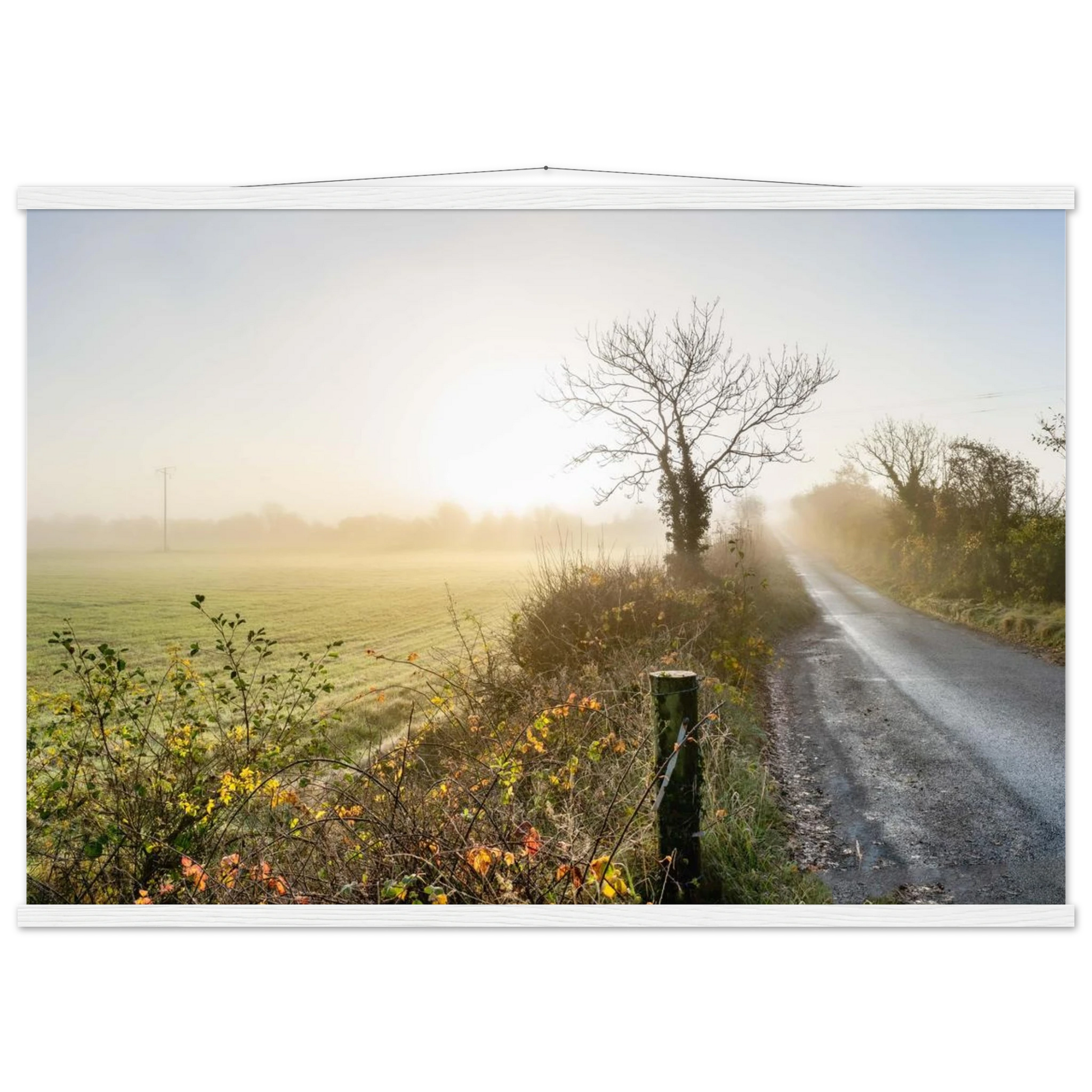 c2ad3ea6-19a6-4afe-b27a-e08e056e8d0f