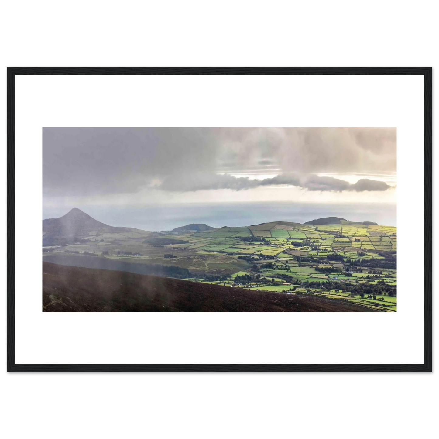 c31b9d5f-f4c8-4cab-8a2e-3d70a350aa2d