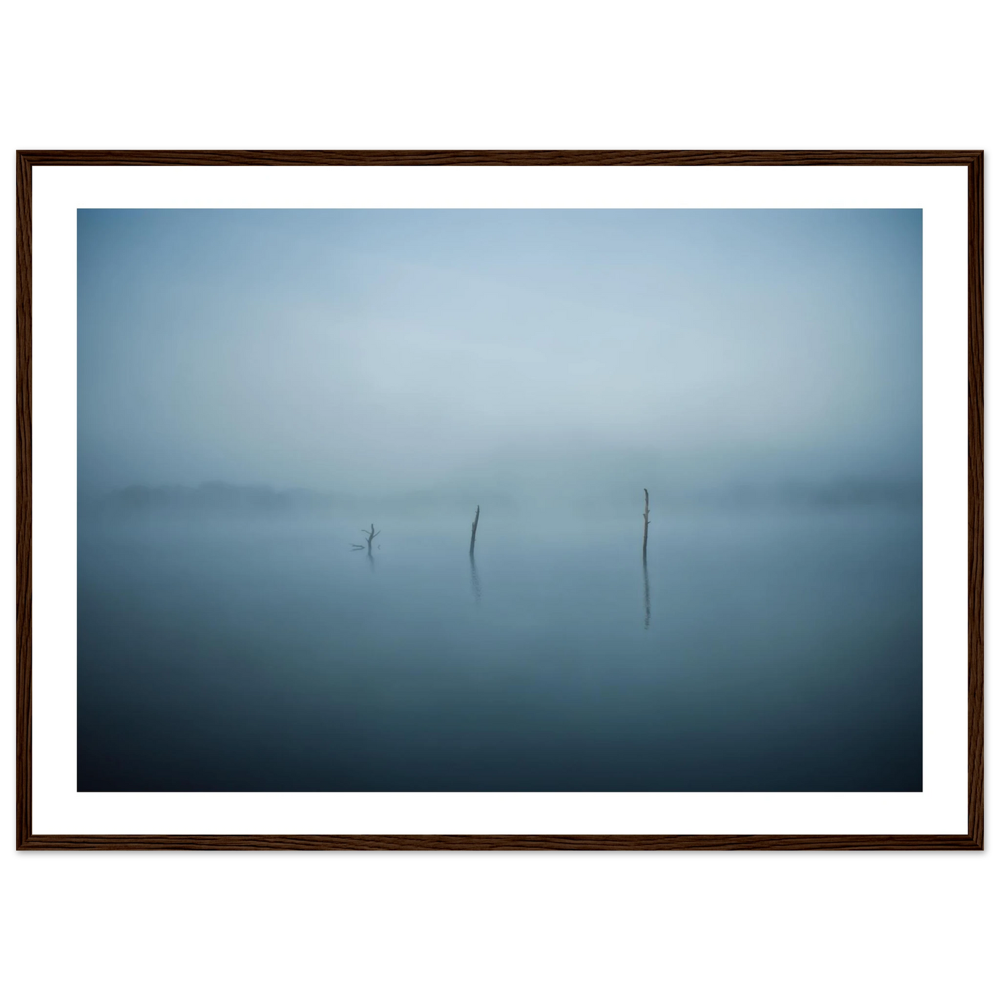 c3335869-dc7f-48f0-b8c8-dbe50accff94