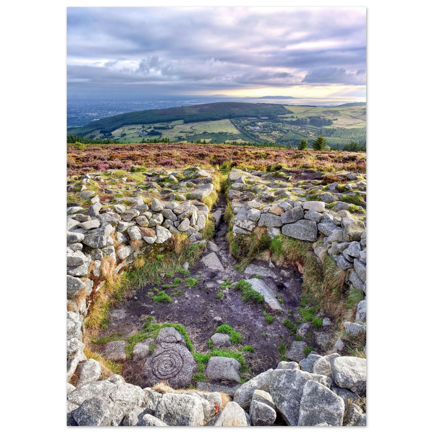 c341c633-b181-42eb-a680-0117c28a737c