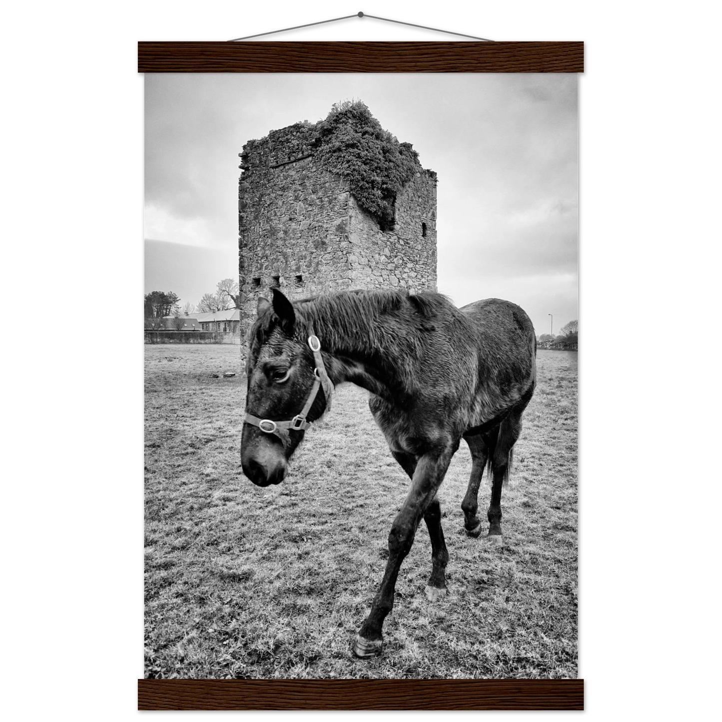 c357ae95-6149-4c4f-9644-0caf4cfbc2e8