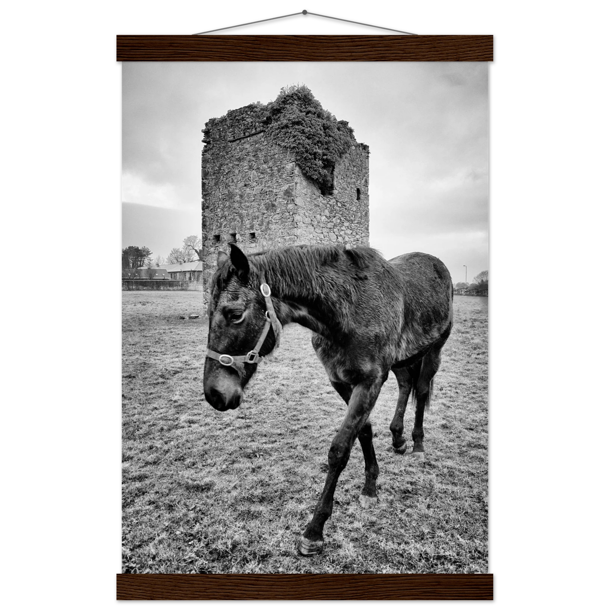 c357ae95-6149-4c4f-9644-0caf4cfbc2e8