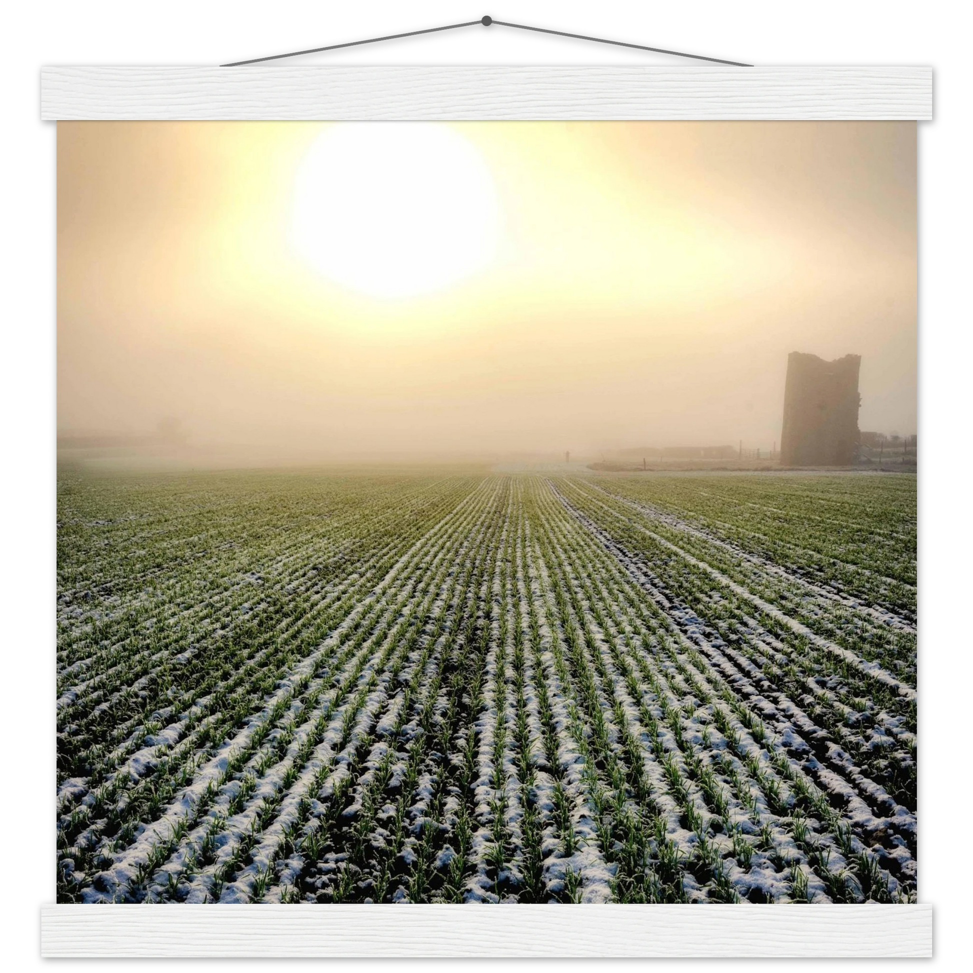 c3e745fd-ecc2-4a88-8c1b-4af3c1a38051