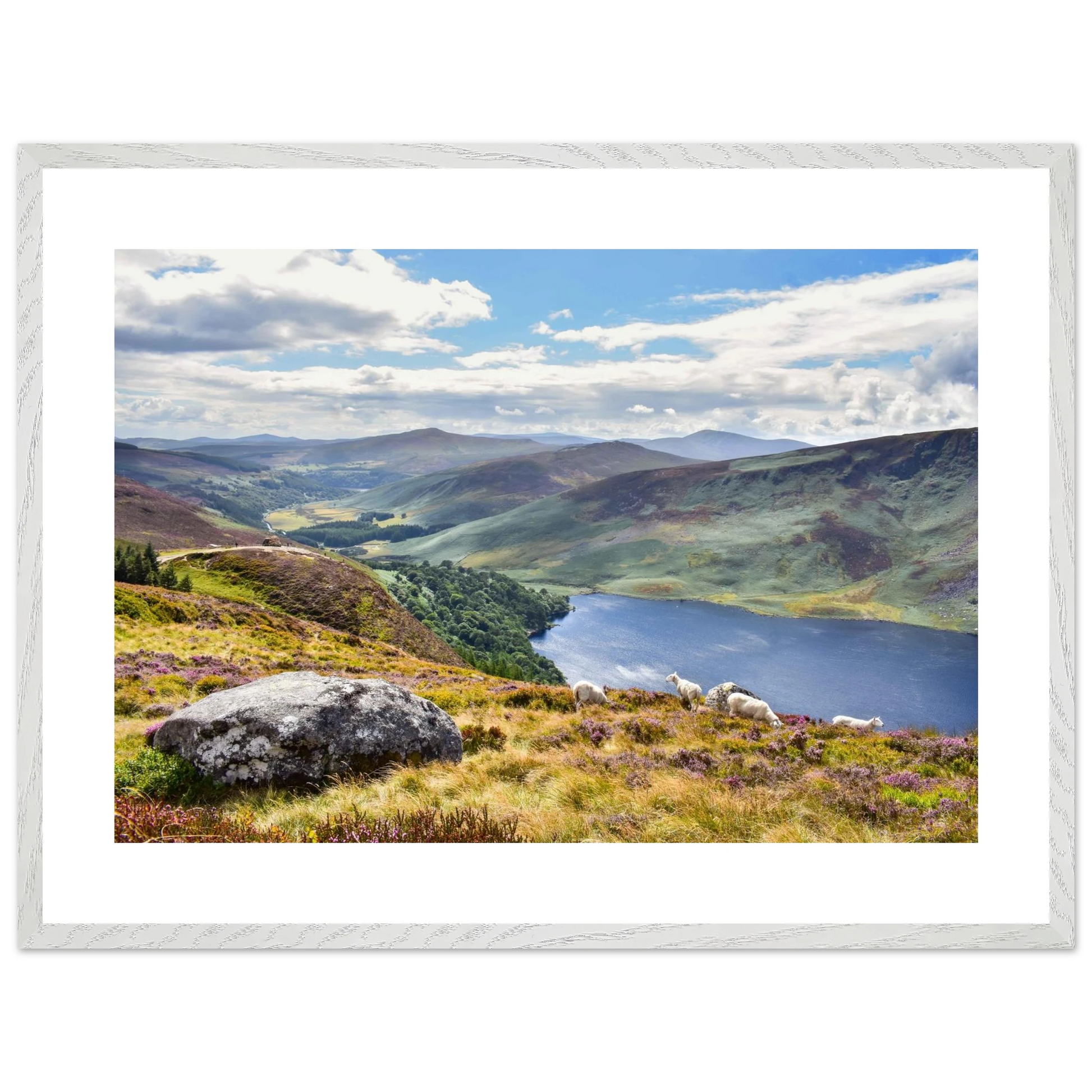 c44e8a11-188b-4c8a-a4ae-43417bcd00ec