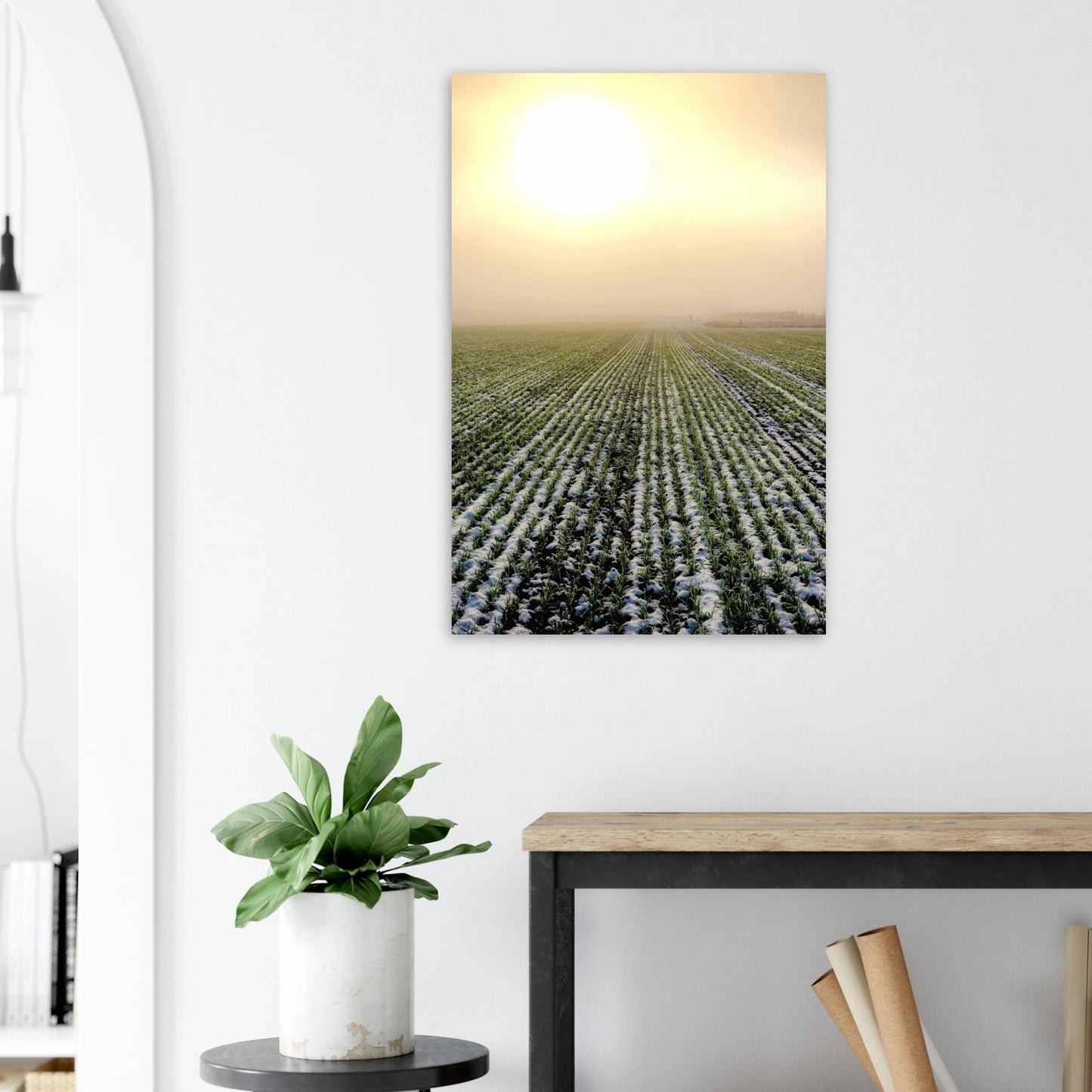 c454f808-ce48-473f-8c60-81aba338d11e