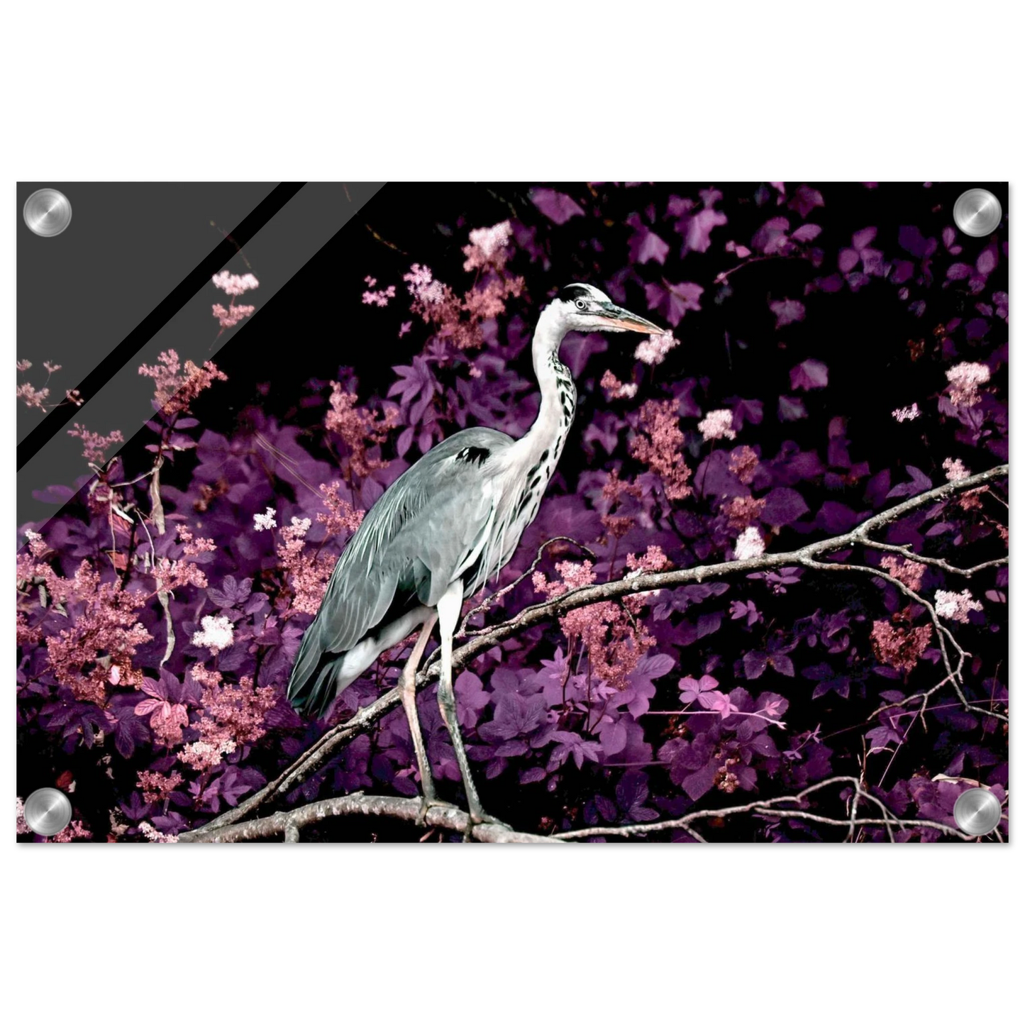 c48e5aa9-45f9-4c87-a183-860a0ab23bb8