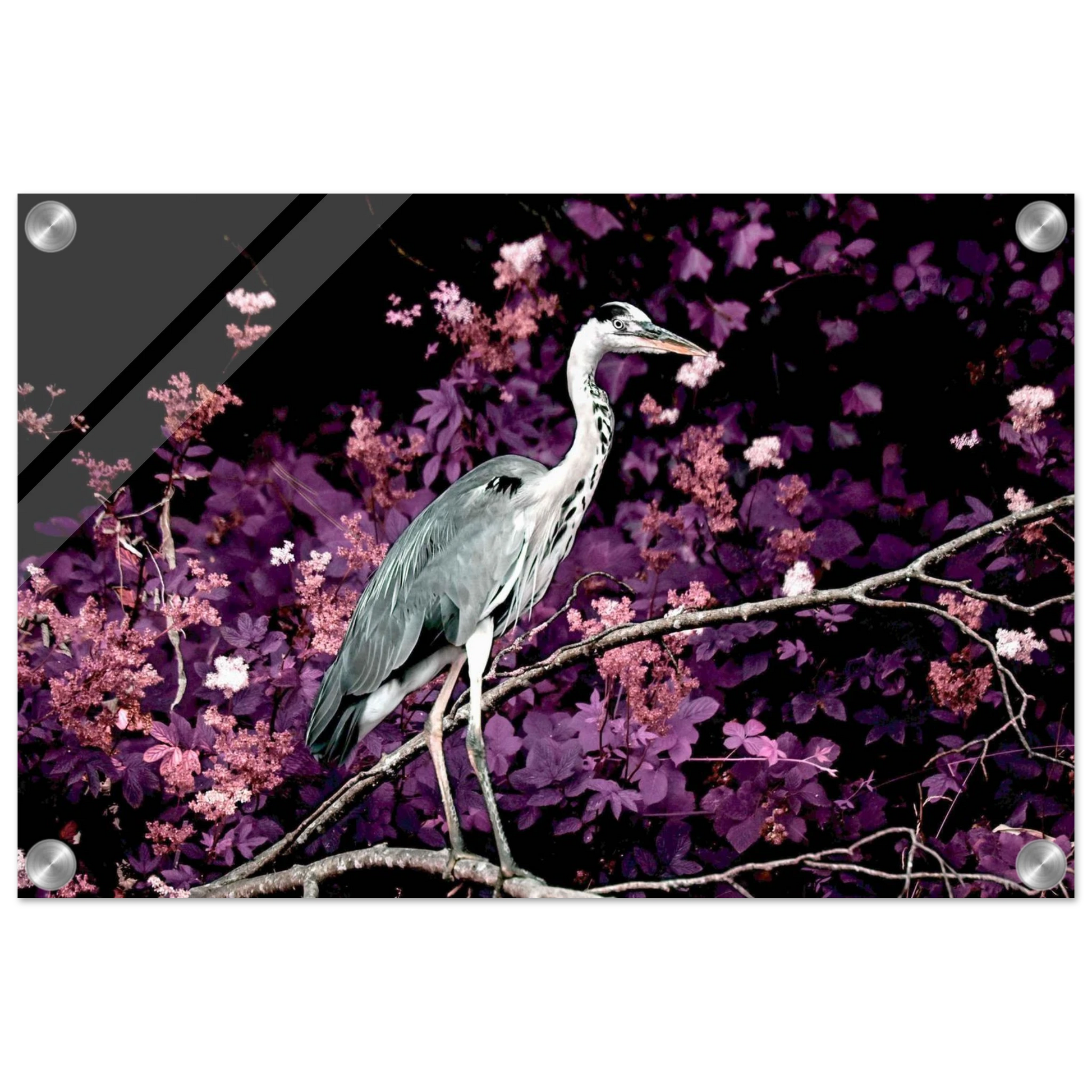 c48e5aa9-45f9-4c87-a183-860a0ab23bb8