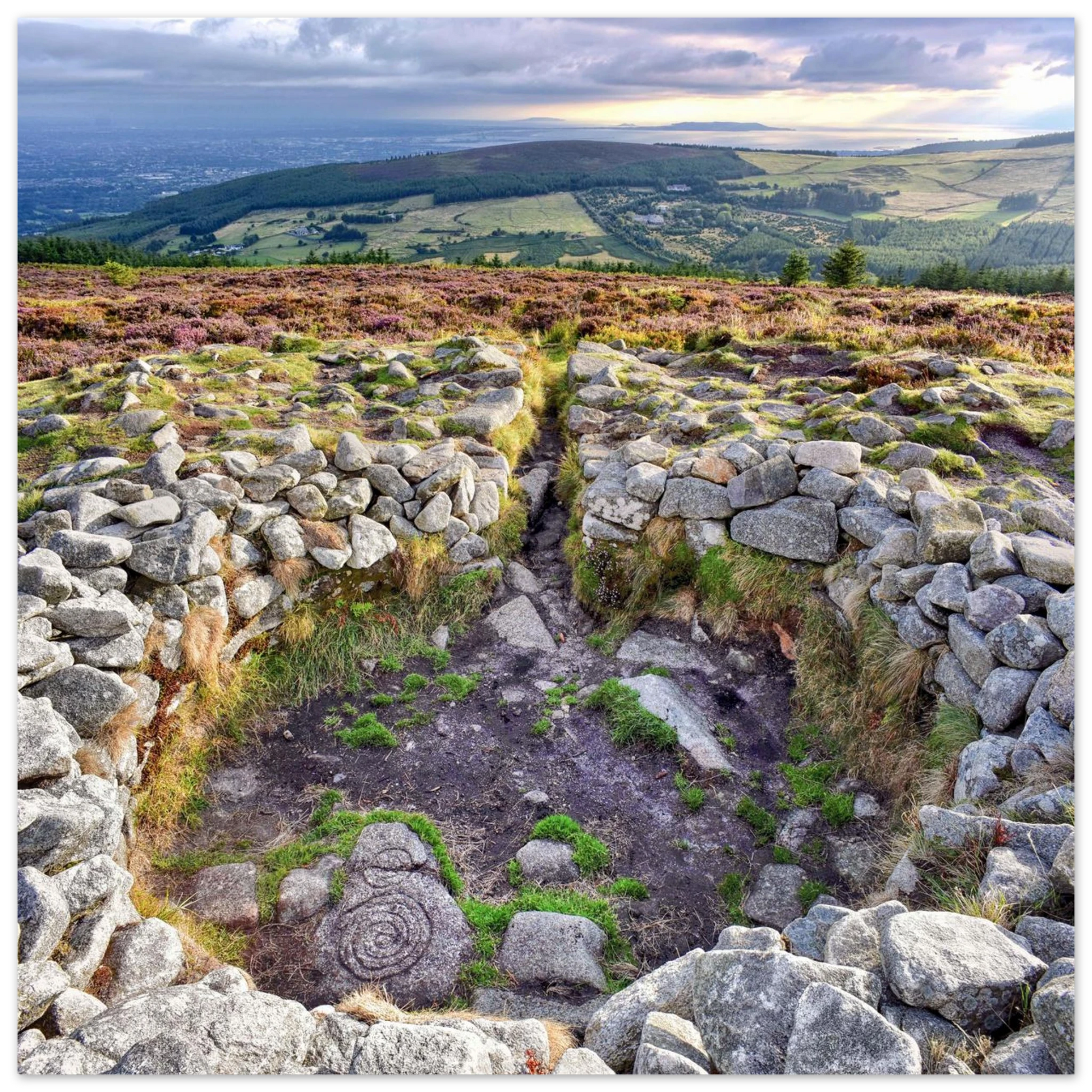 c49a3b45-13b6-4baf-bb35-393289ca5ffb