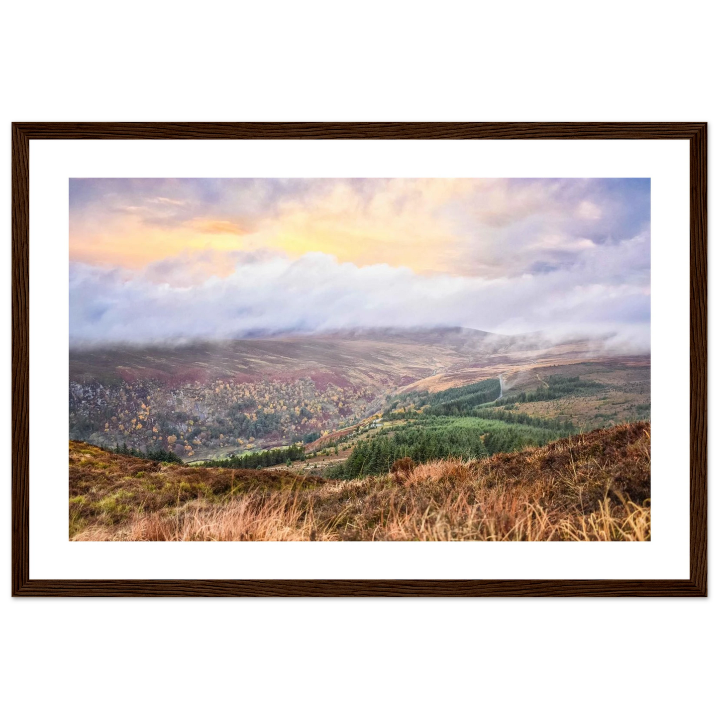 c5162a25-8ed7-4929-94c2-4b05ee1a8cba