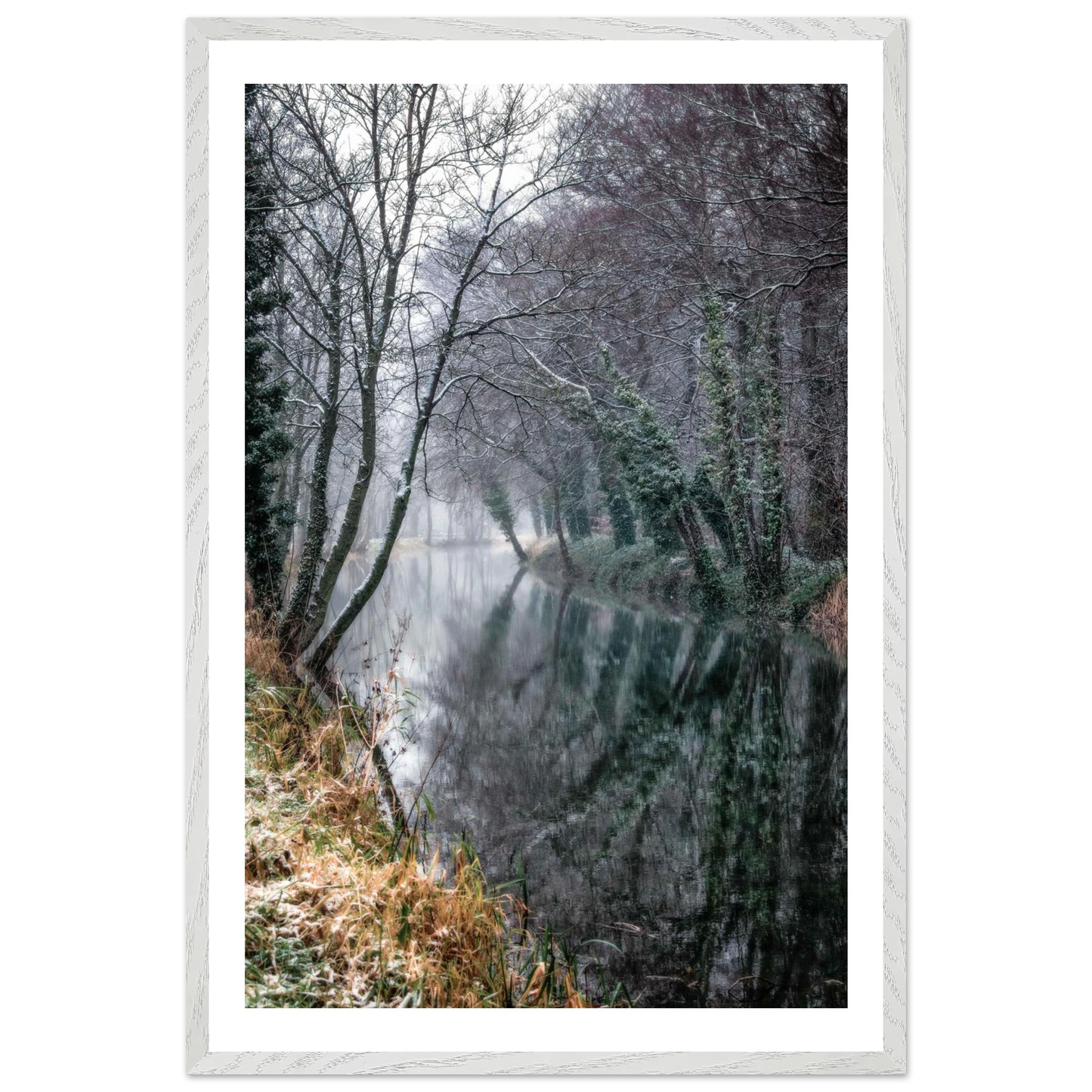 c51eed6a-04b6-4dad-88a3-6d117536e088