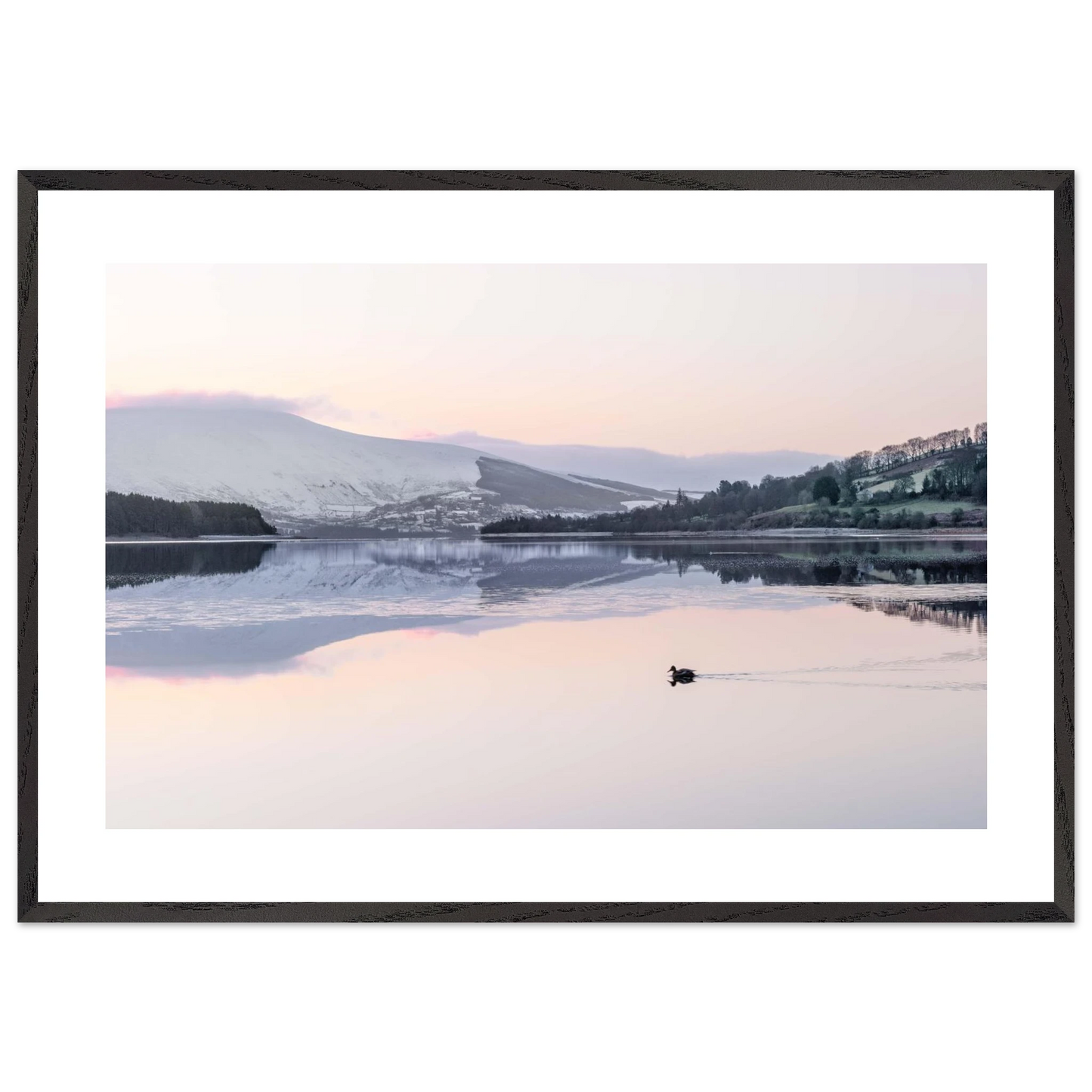 c52400b6-b80c-48ac-bdfa-fa21c2ba03fd