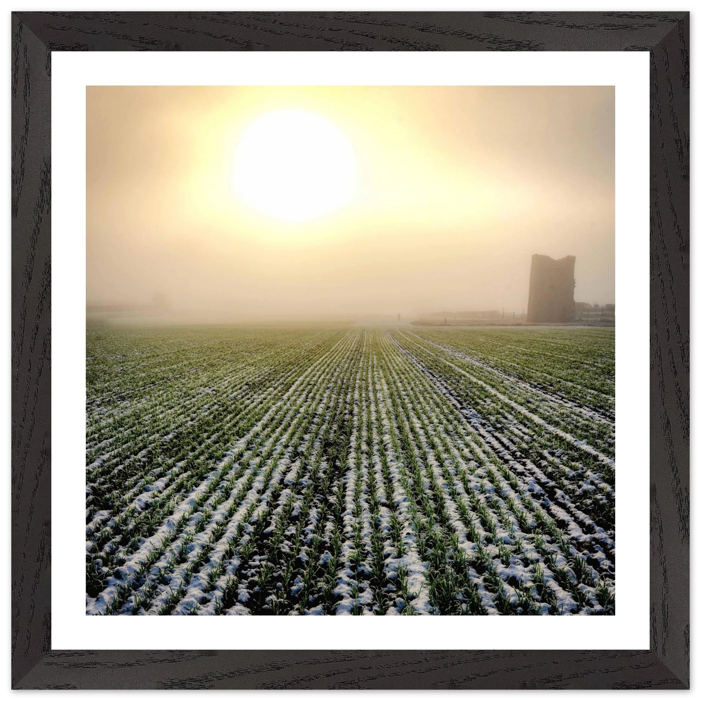 c525b6f7-b3d0-4820-b195-94f215fc0998