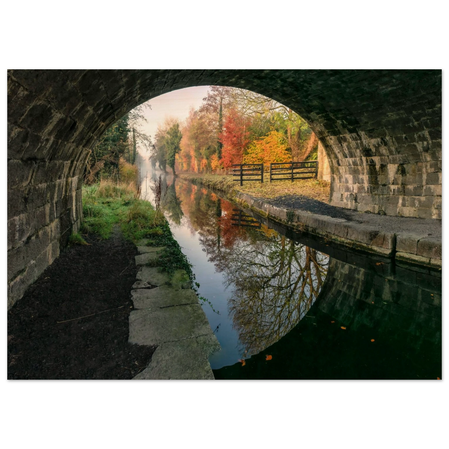 c530903b-40a3-49a9-8fe0-ed1ab4bdac7d