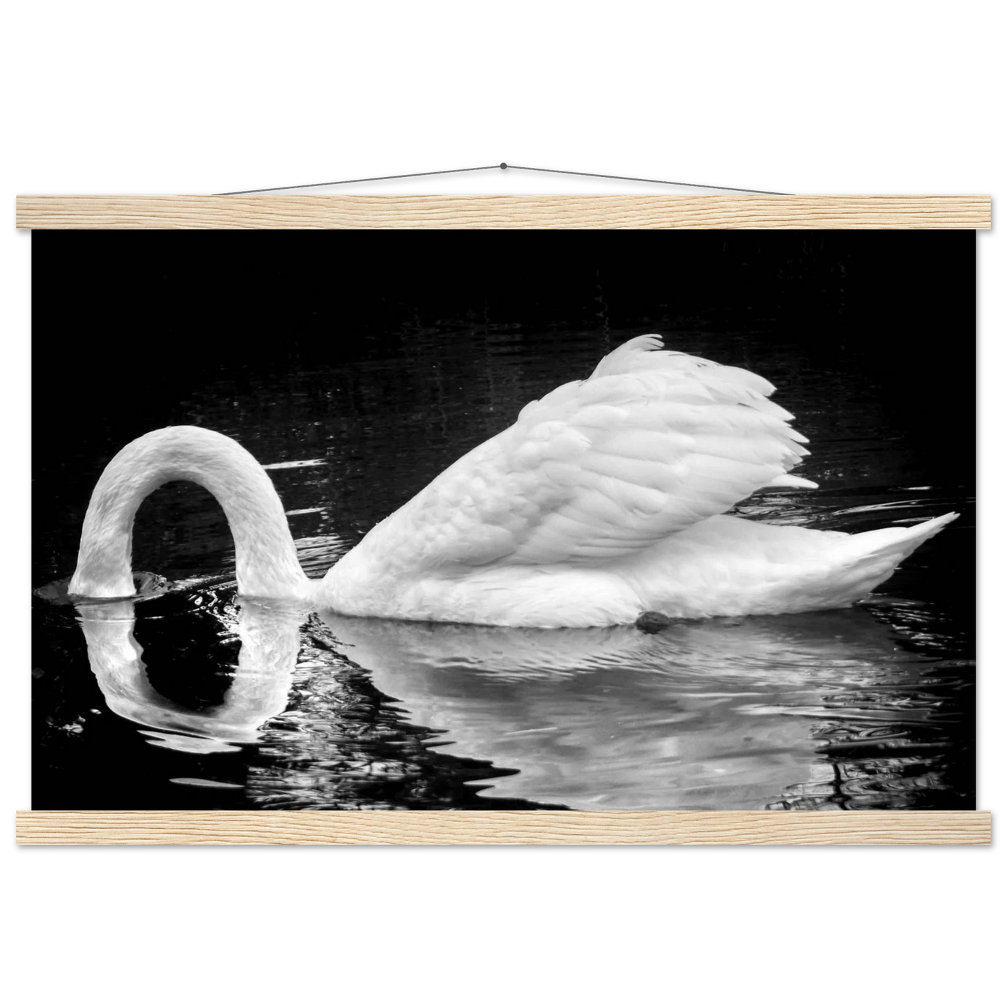 c53aca3b-a69f-40e7-9681-d9f649a70424