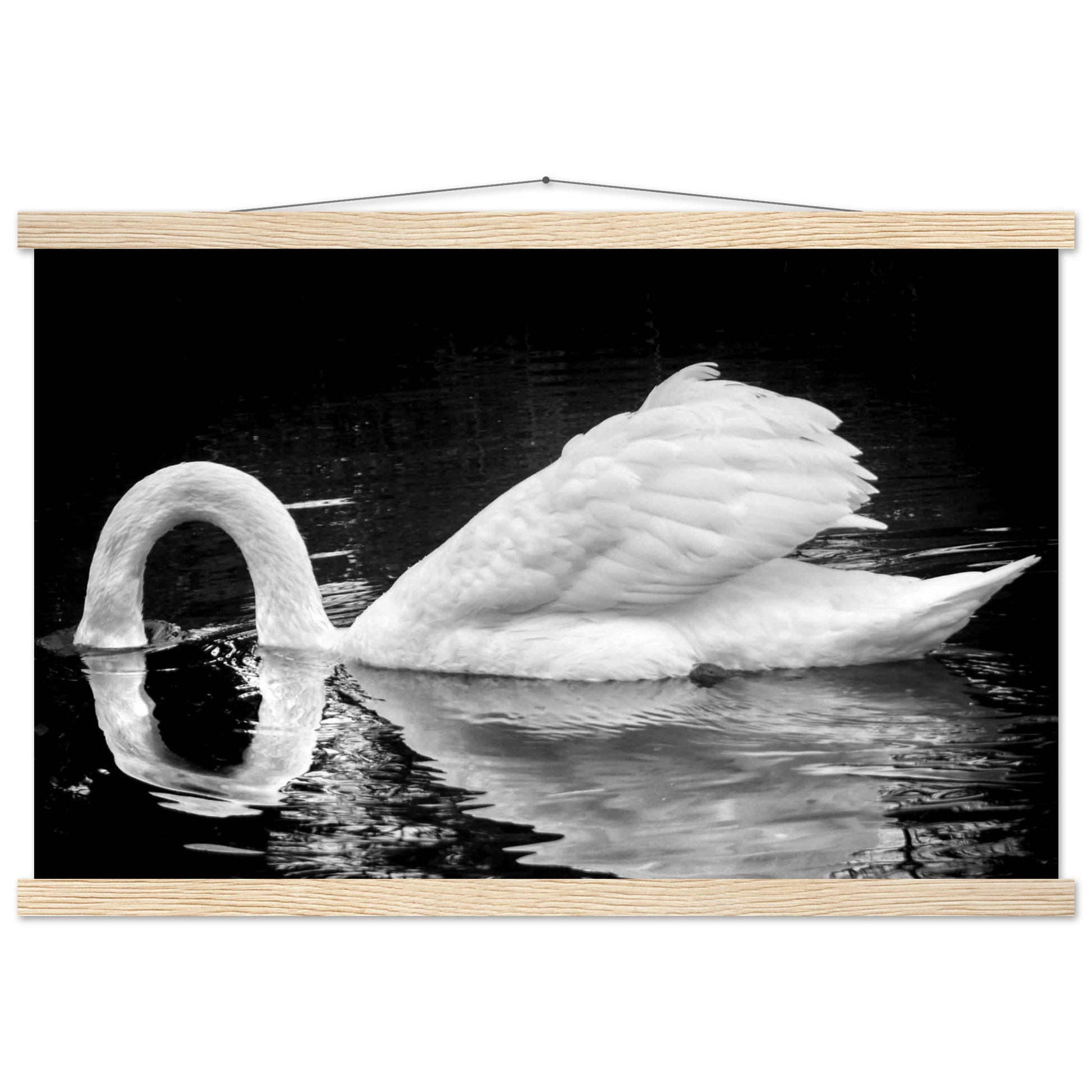 c53aca3b-a69f-40e7-9681-d9f649a70424