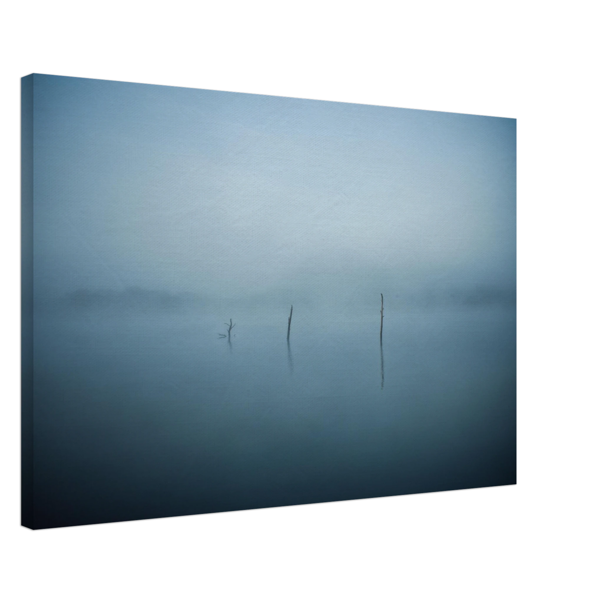 c5501592-5ad8-4ae8-9208-c4c0cd8b59f7