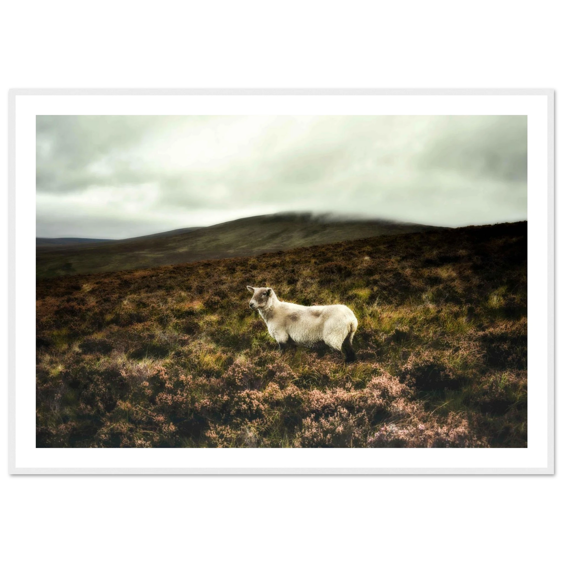 c5f88f39-7bf5-4787-bec9-08d95d67fd7f