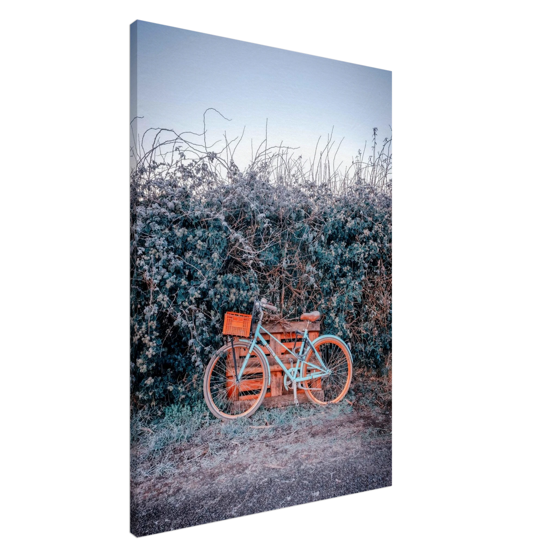 c6055e2c-9e8c-4b97-8294-195320385c2a