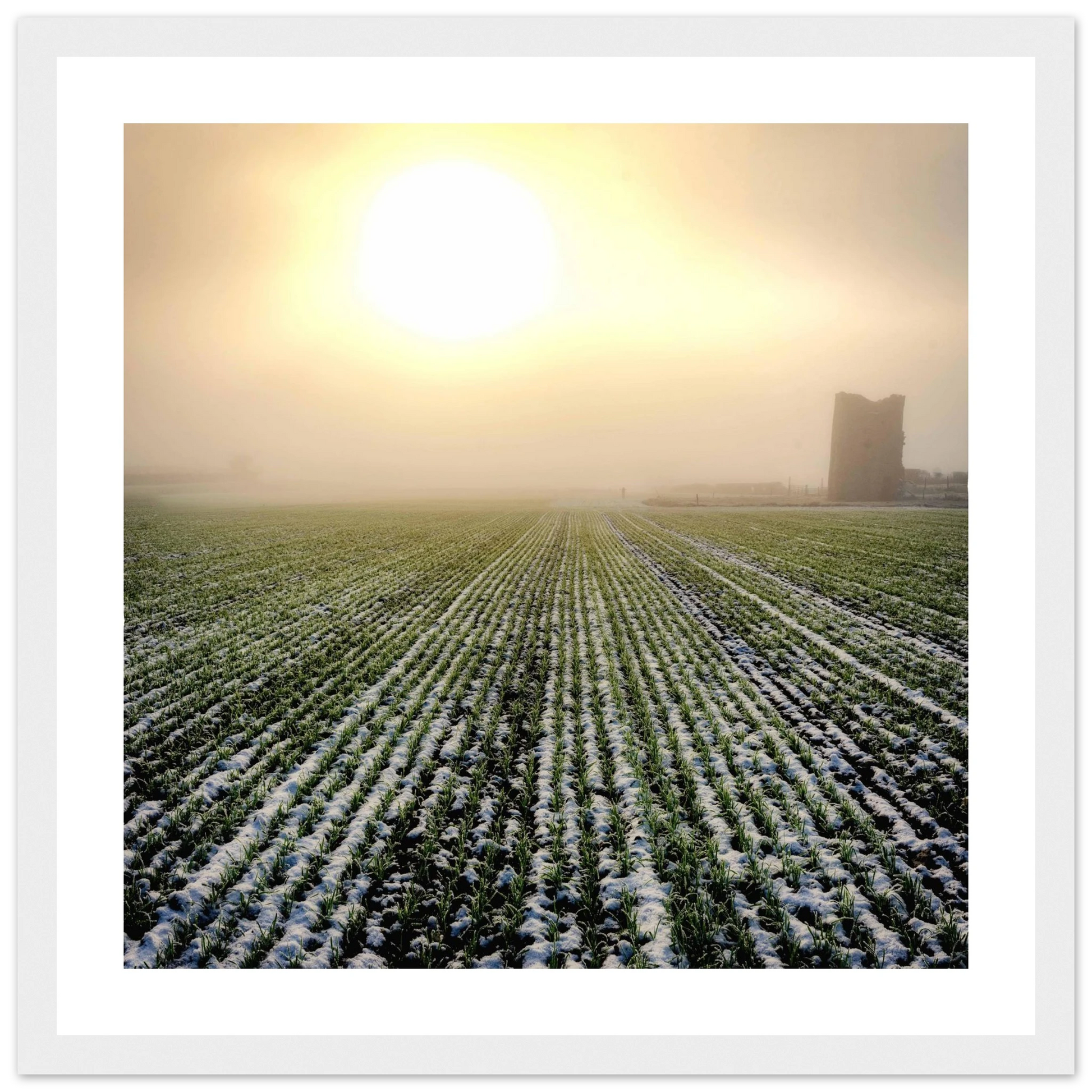 c63d3b43-3e14-4f49-bd4e-5ba1a330462d