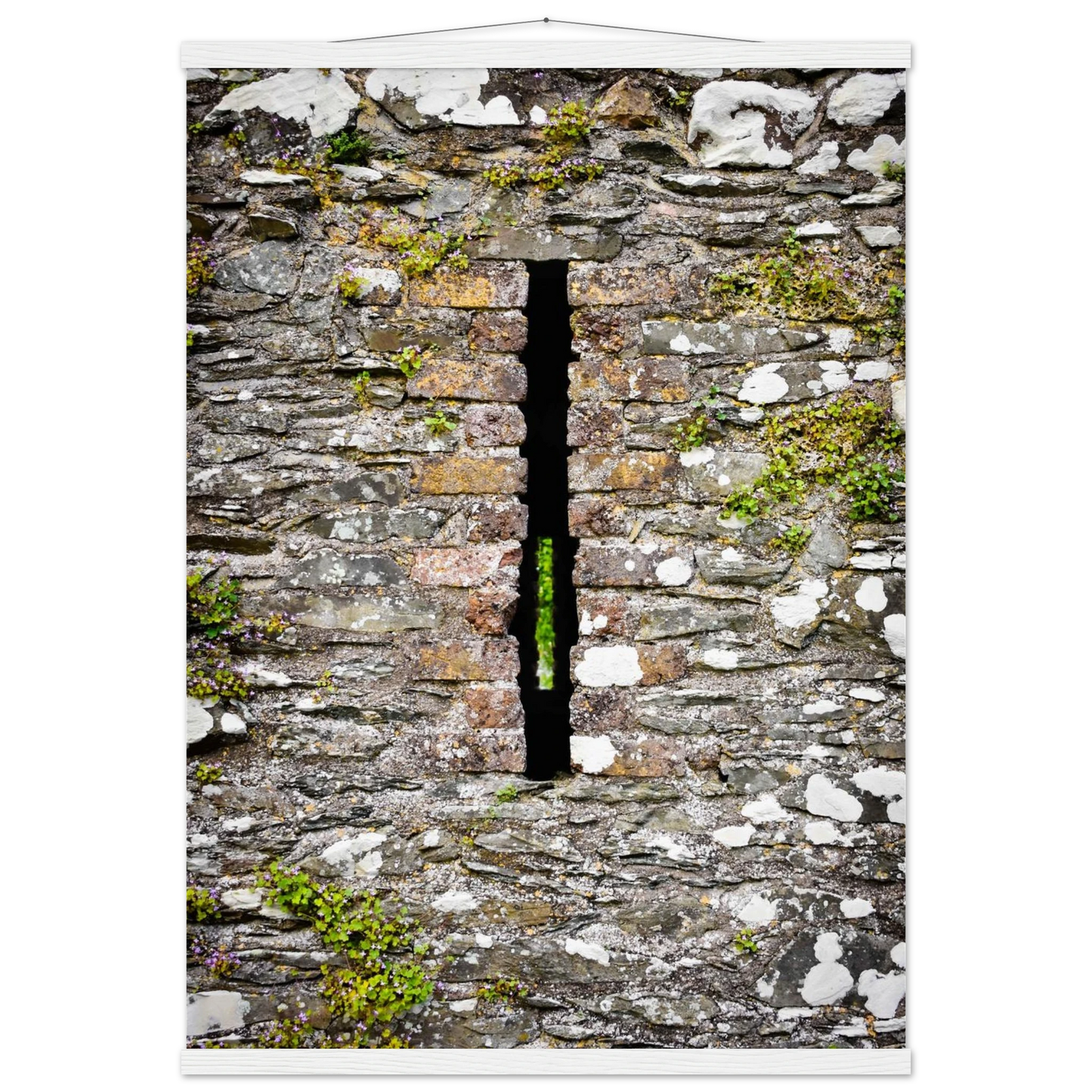 c64b6eca-0b5f-4f79-bb05-c970cf1dc4ff