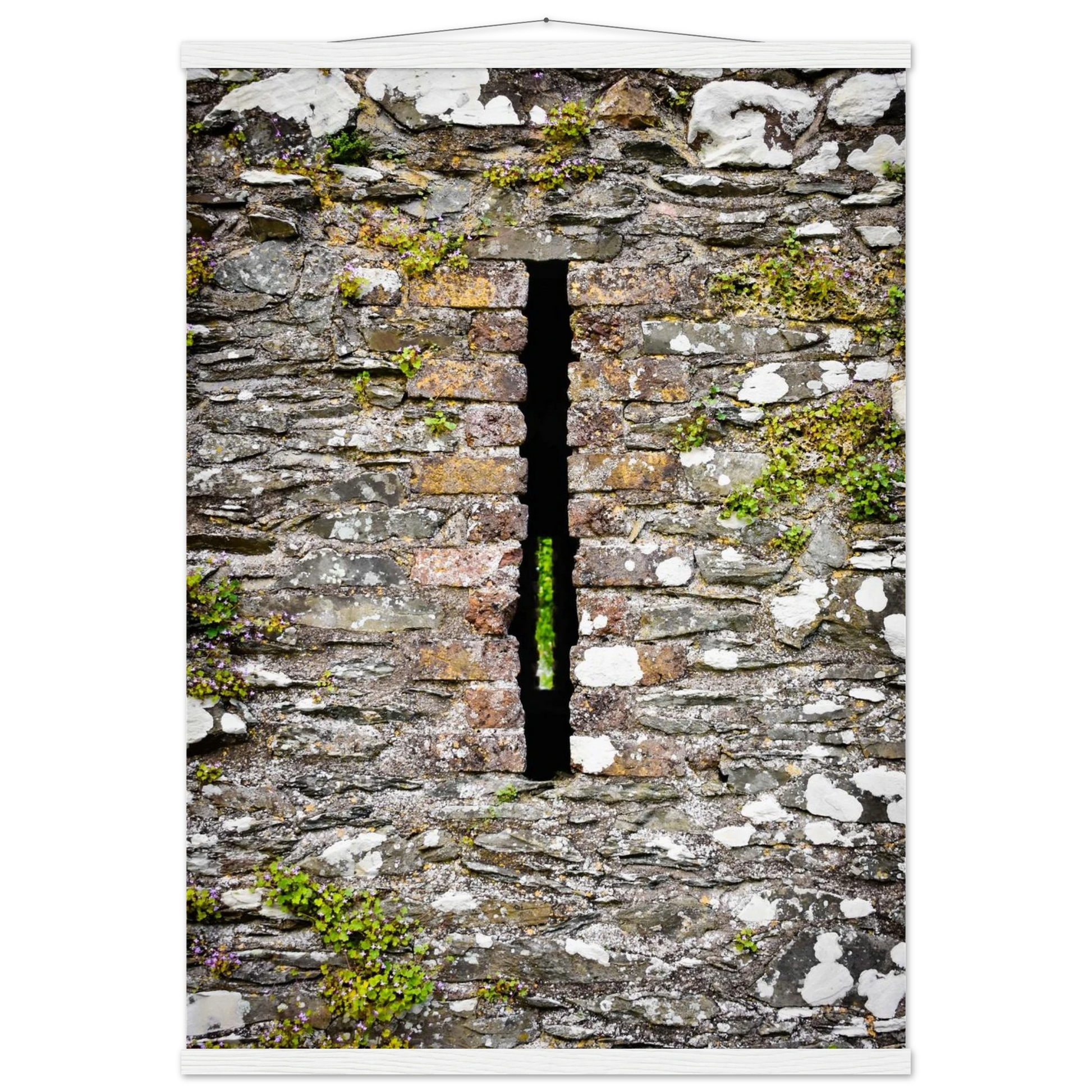 c64b6eca-0b5f-4f79-bb05-c970cf1dc4ff