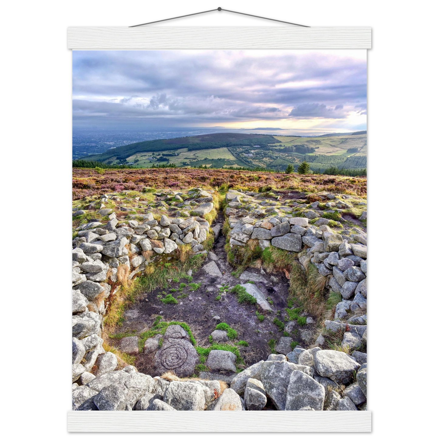 c6823897-e8ce-4a97-a14c-9fc3625d84d4