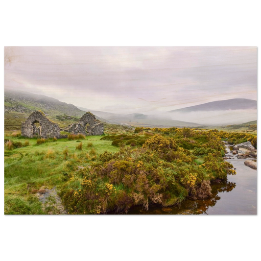 c68ee00d-b79d-47ab-b984-52f85e3c9d73