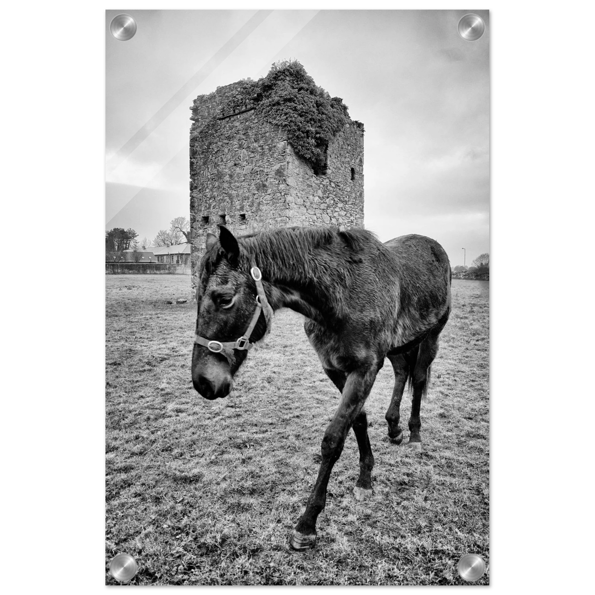 c69ff729-e3c0-4bef-af99-d7081808c234