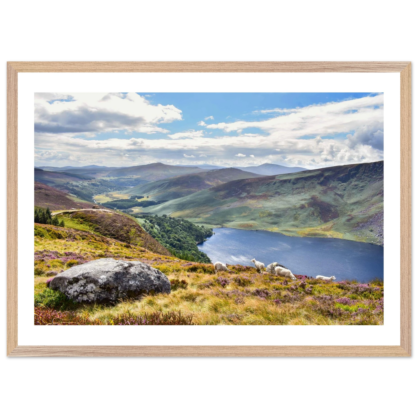 c6b1e9fc-b9ad-4481-a172-f520237042f8