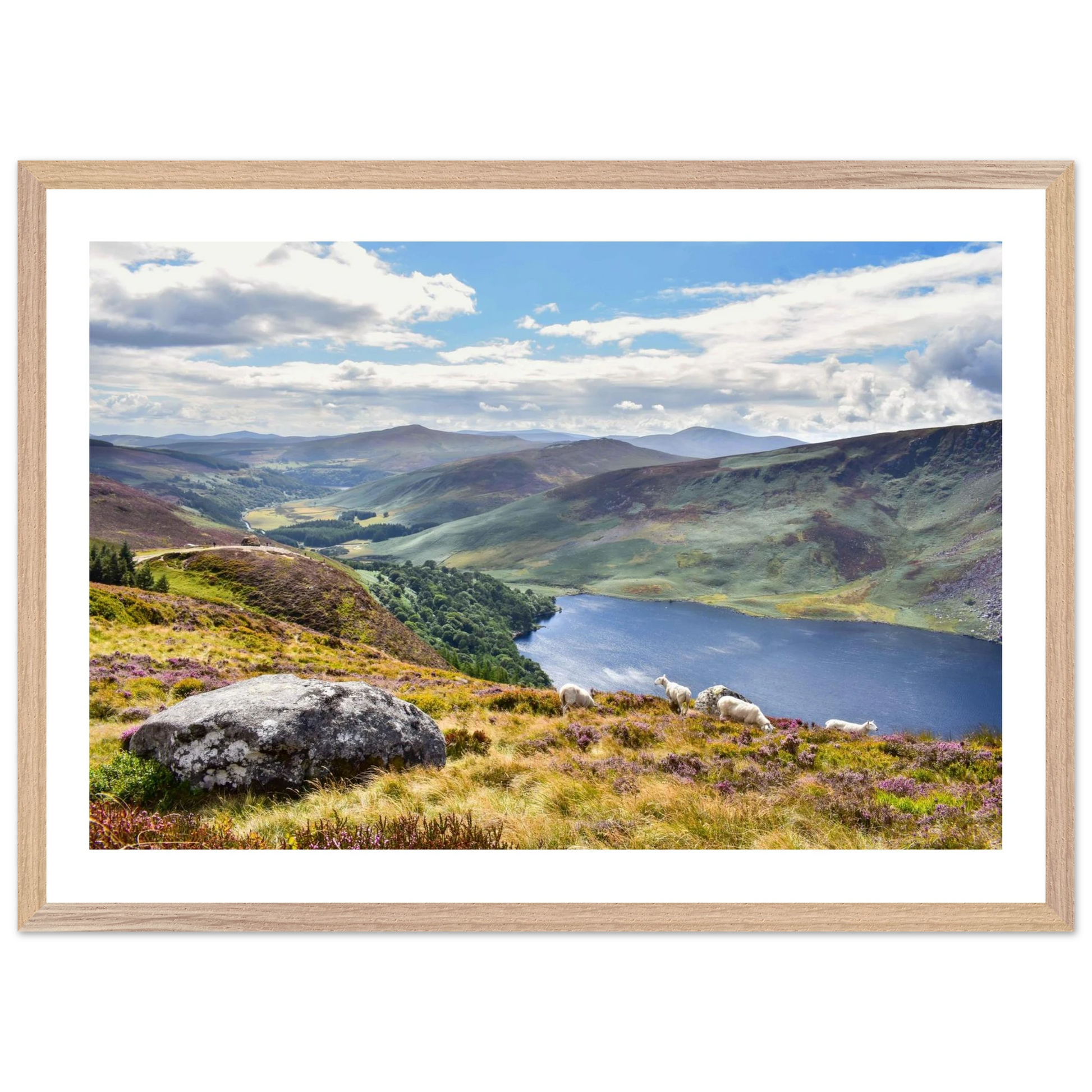 c6b1e9fc-b9ad-4481-a172-f520237042f8