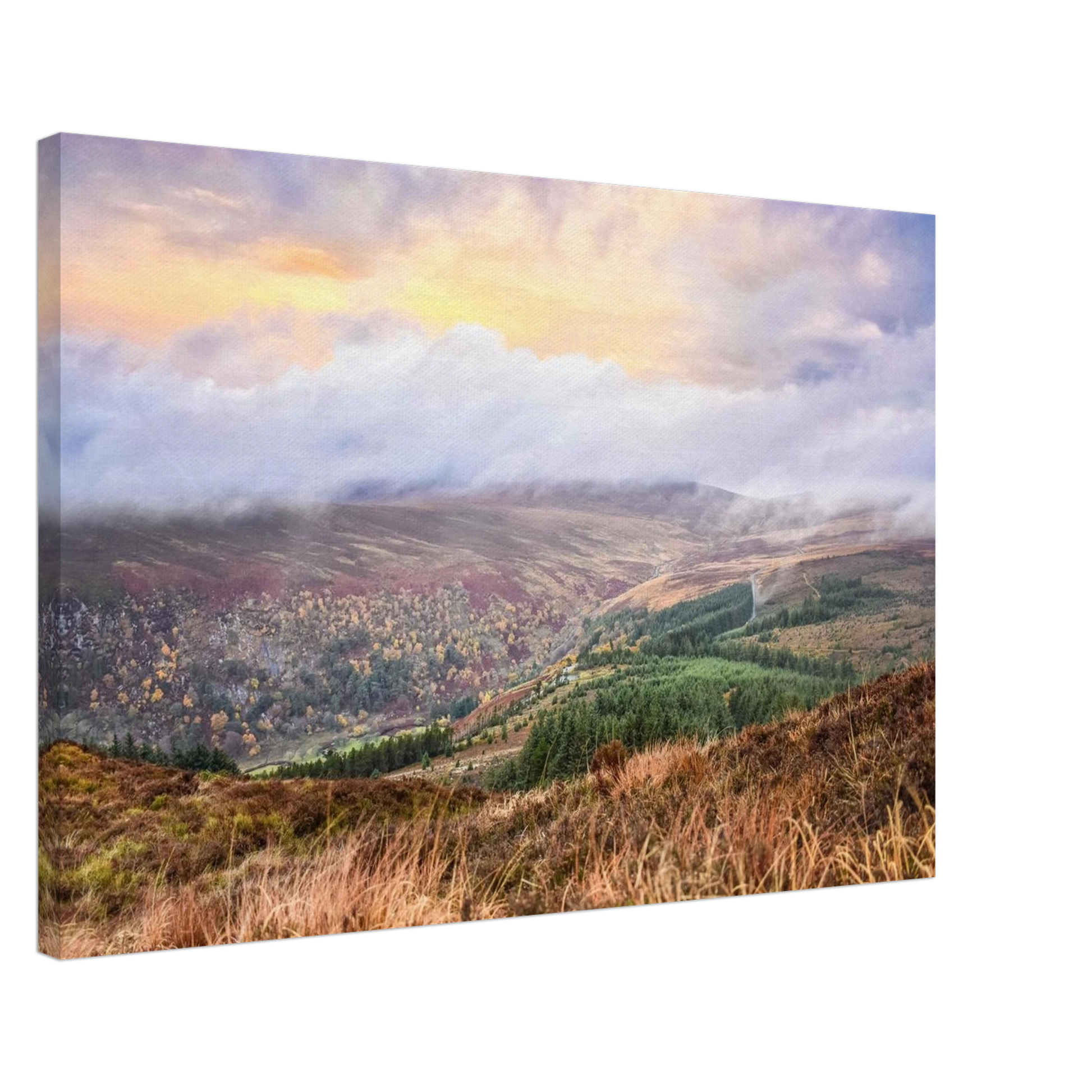 c7207fe0-c941-45e2-b8f8-4b103da60dfc